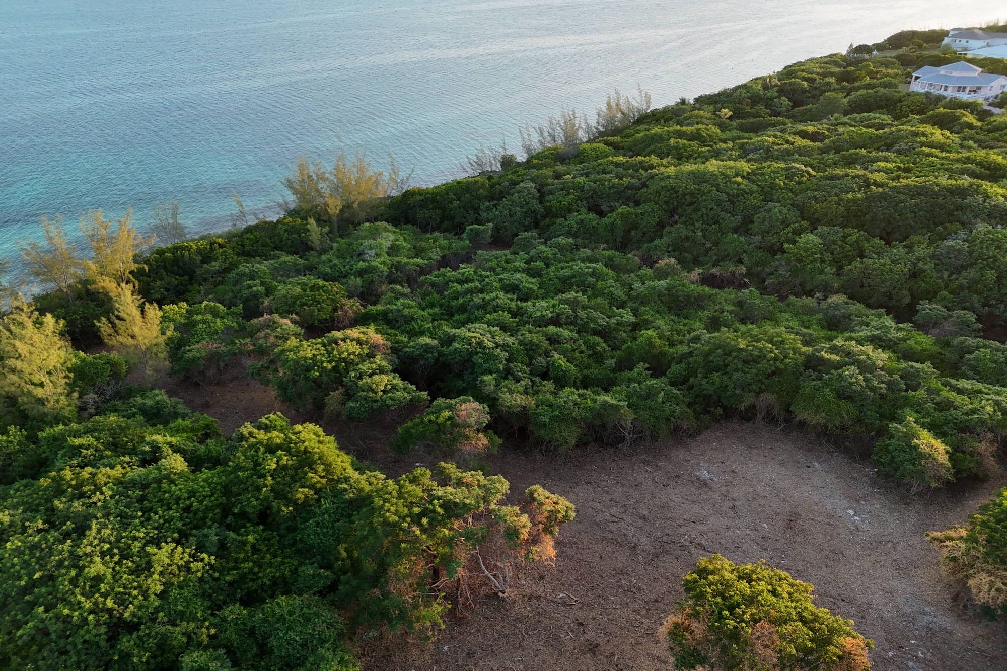  East Russell Island Acreage - 物件實景