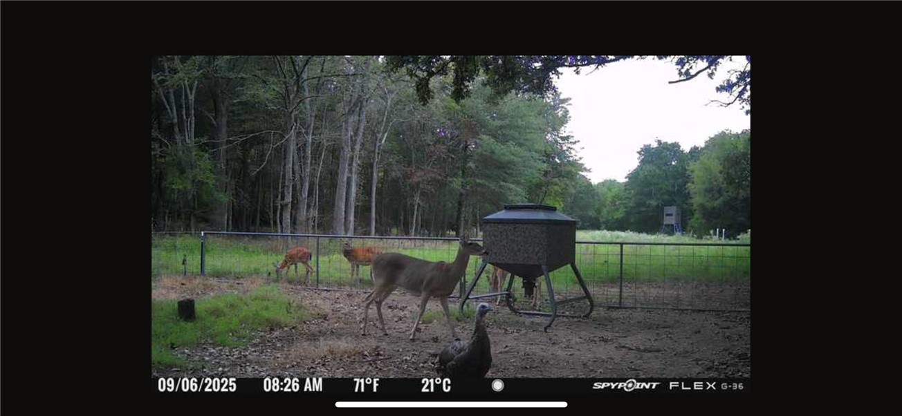 Thornton, Texas, 76687, United States, ,Land,For Sale,2003074