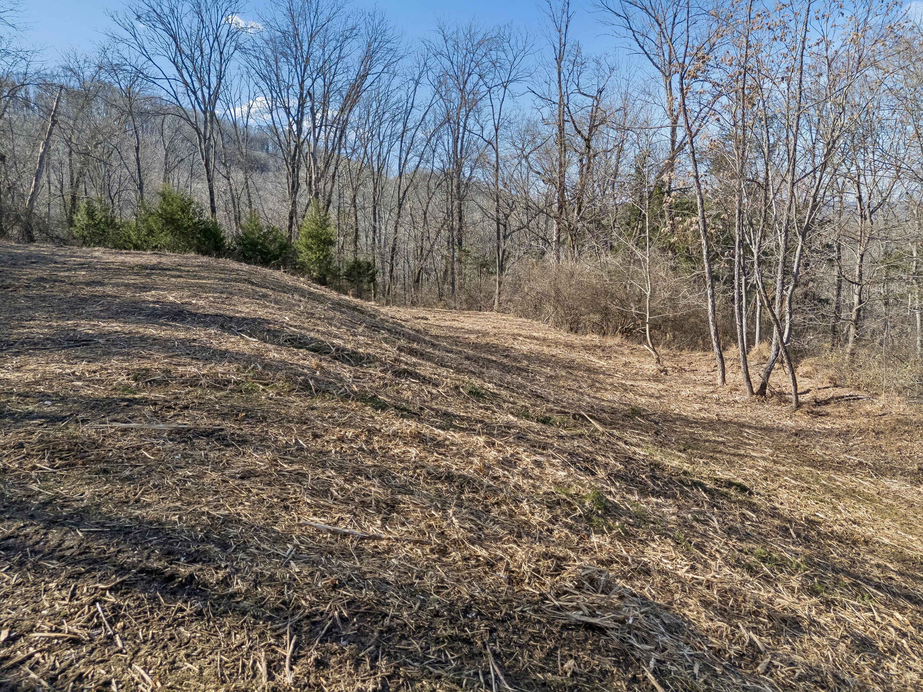Brentwood, Tennessee, 37027, United States, ,Land,For Sale,2005446