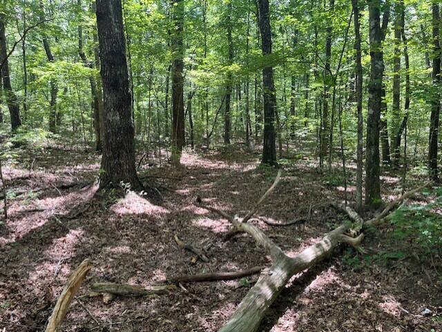 Graysville, Tennessee, 37338, United States, ,Residential,For Sale,1943907