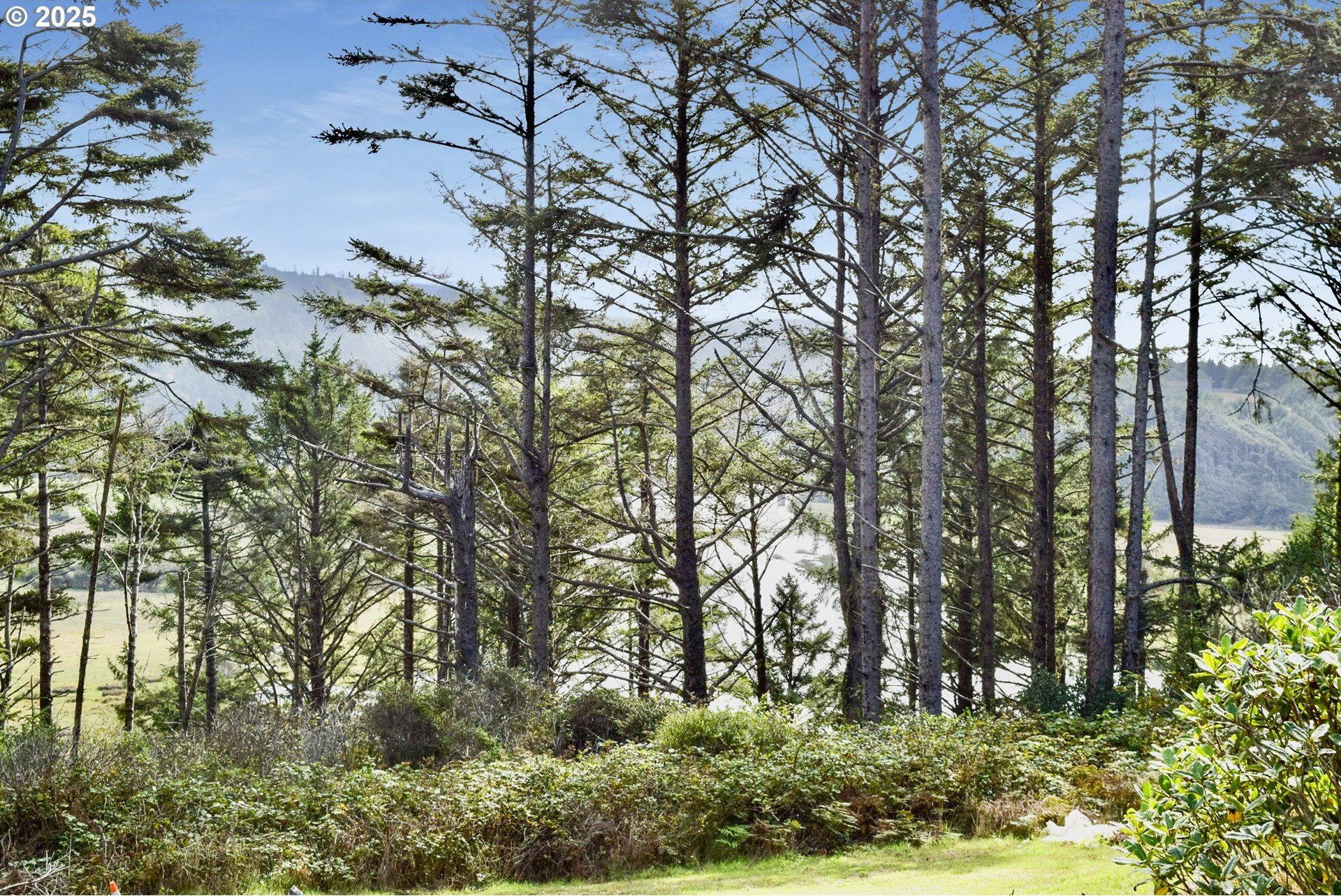 Gold Beach, Oregon, 97444, United States, 2 Bedrooms Bedrooms, ,2 BathroomsBathrooms,Residential,For Sale,1974436