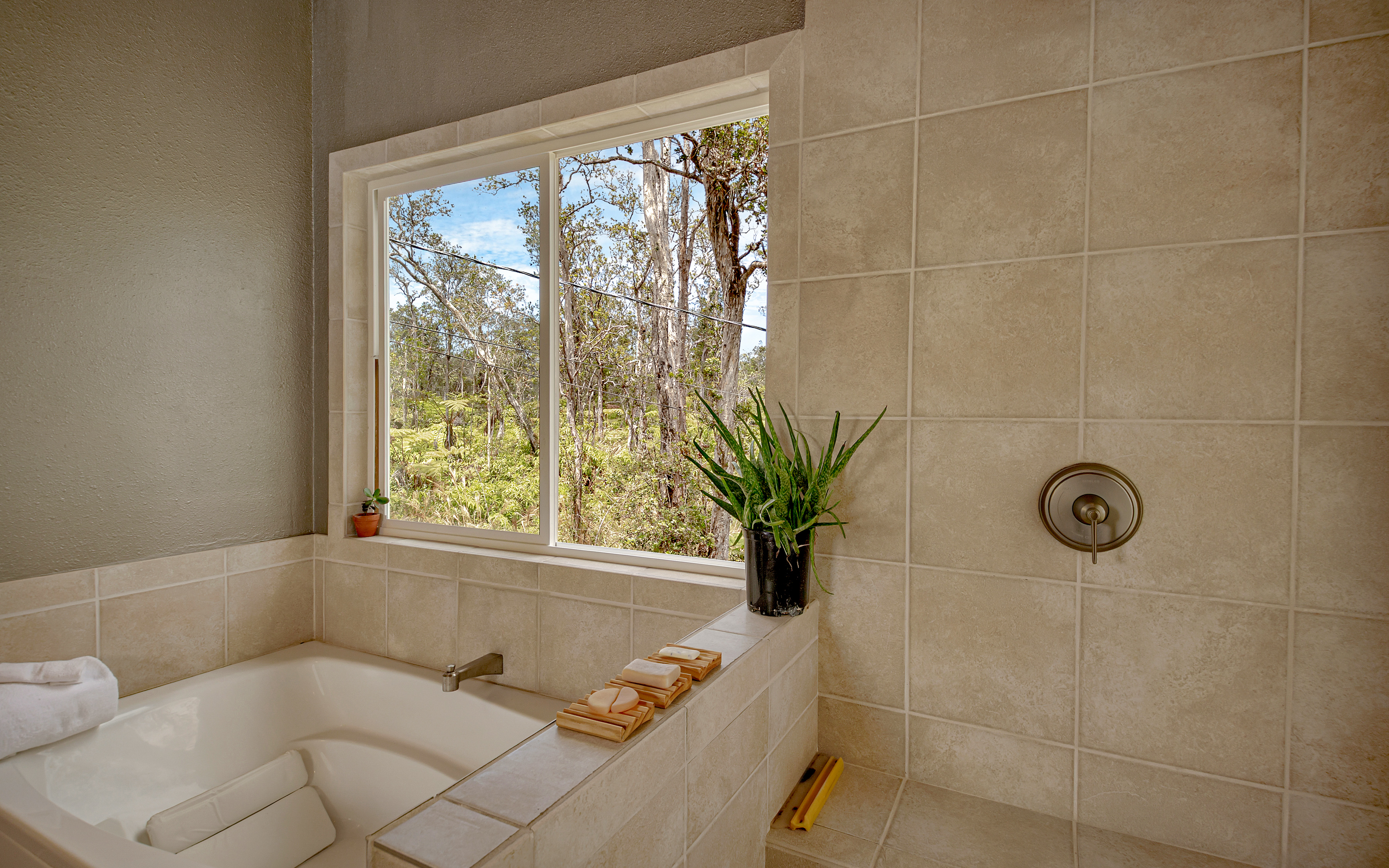  11-3121  HOOLEHUA RD, Volcano, HI 96785 - 物件實景