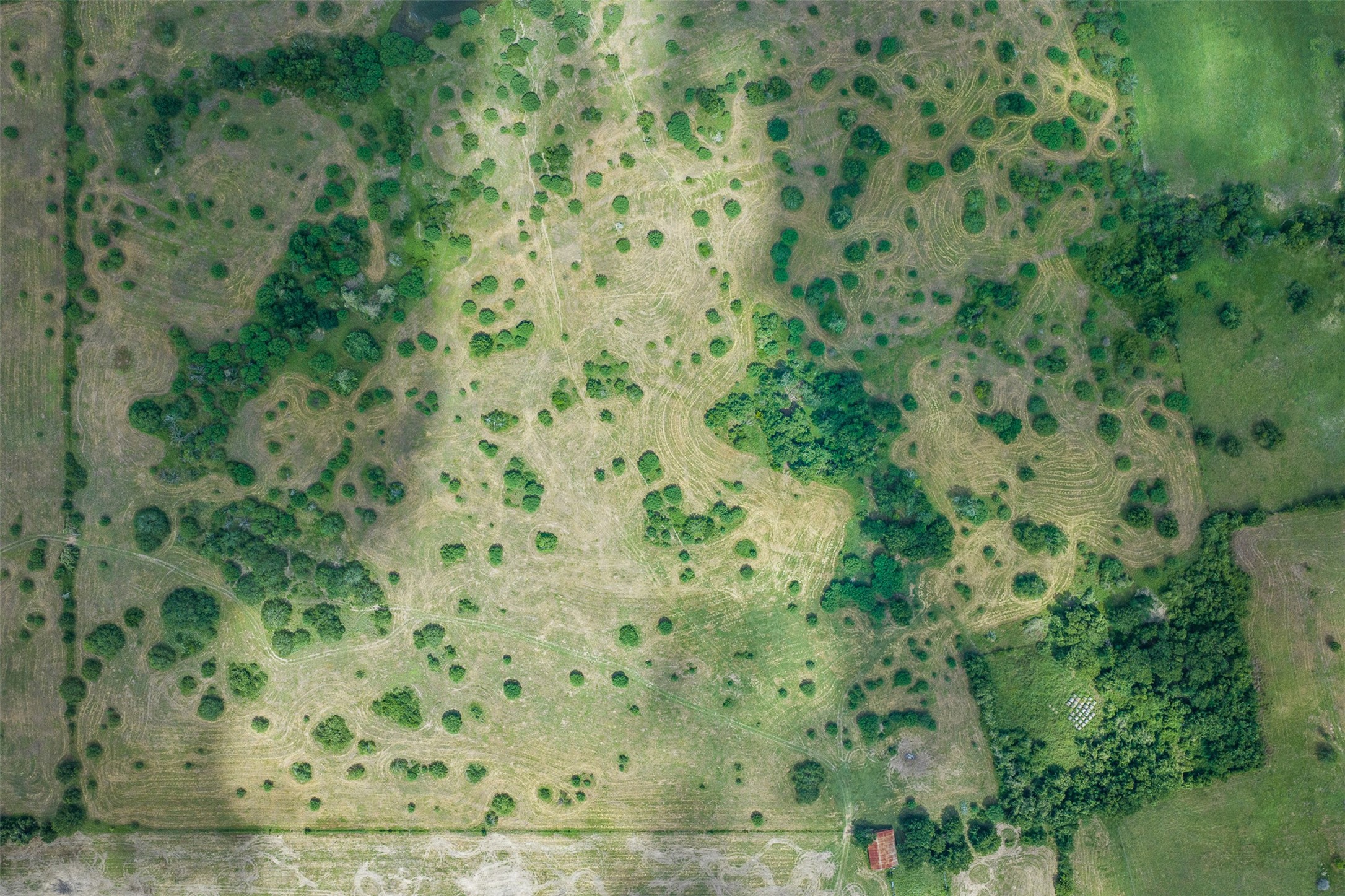  13041 Seydler Road - 物件實景