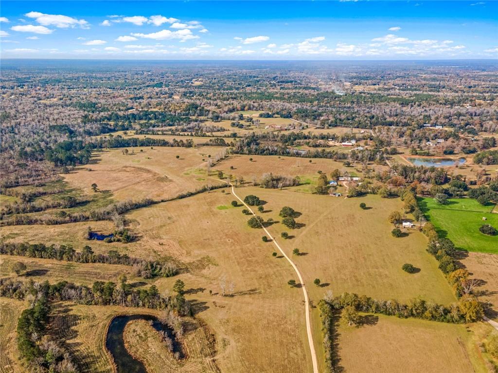 227.5 Acres Old Military (hwy 1082) Road, Bush, Louisiana, 70431, United States, ,Land,For Sale,227.5 Acres Old Military (hwy 1082) Road,1434121