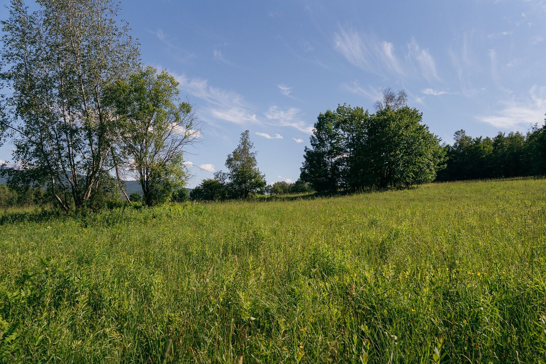  Sutton, Eastern Townships - 物件實景