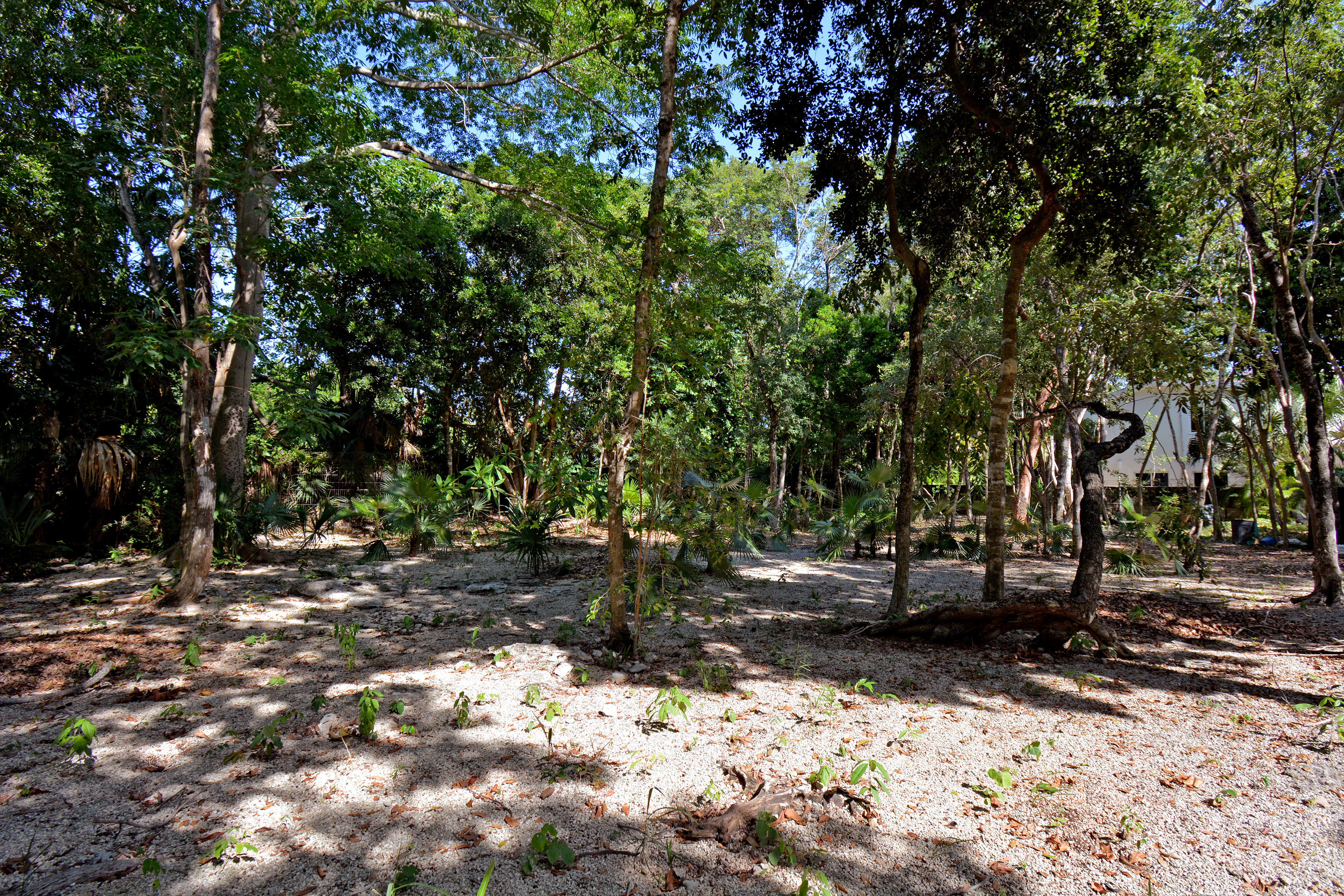  RESIDENTIAL LOT - 物件實景
