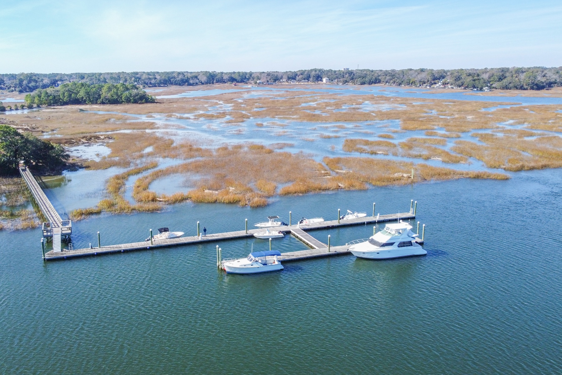  21 Wylly Island Drive, Savannah - 物件實景