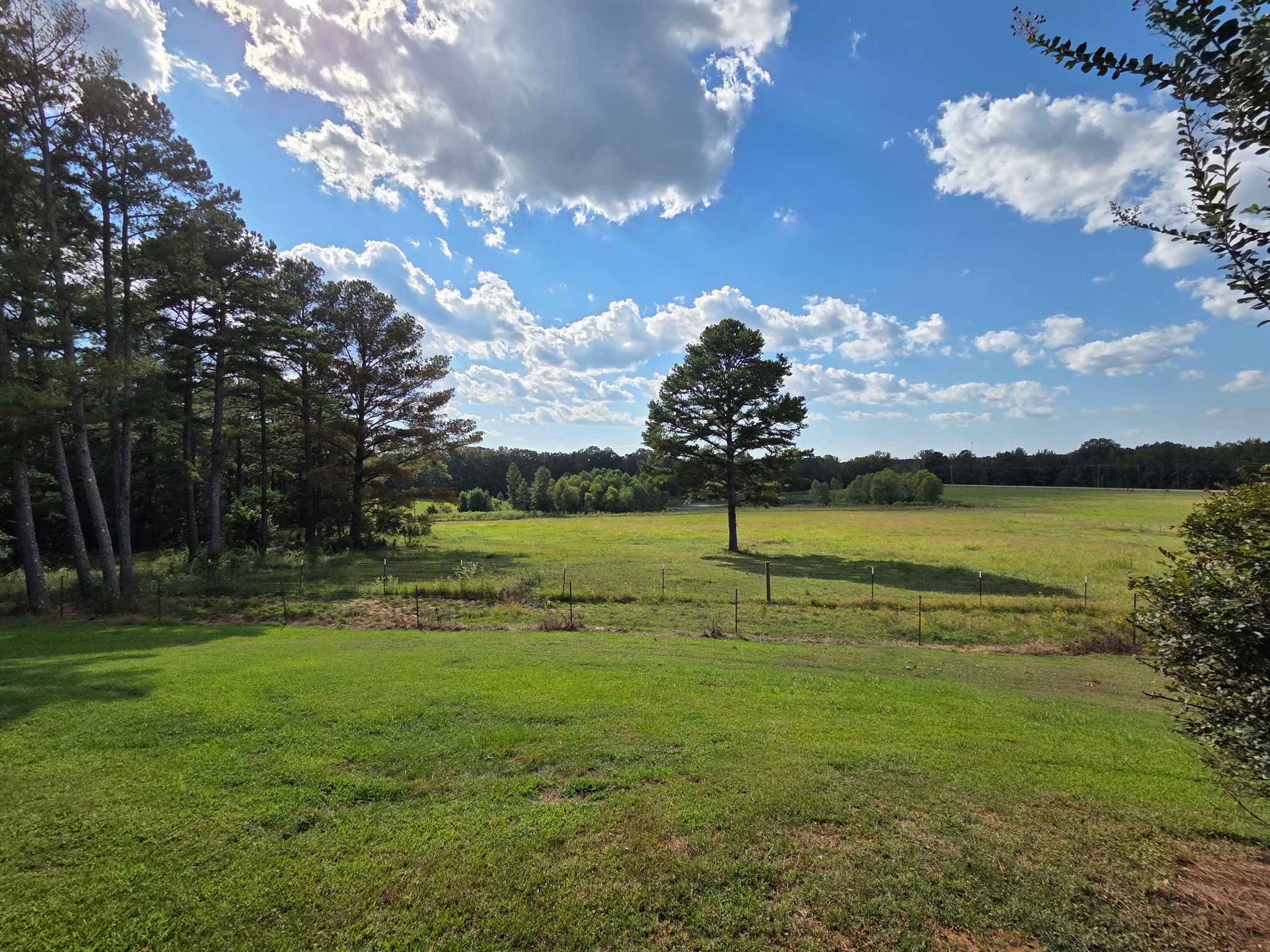 Algoma, Mississippi, 38863, United States, 4 Bedrooms Bedrooms, ,2 BathroomsBathrooms,Residential,For Sale,1928744