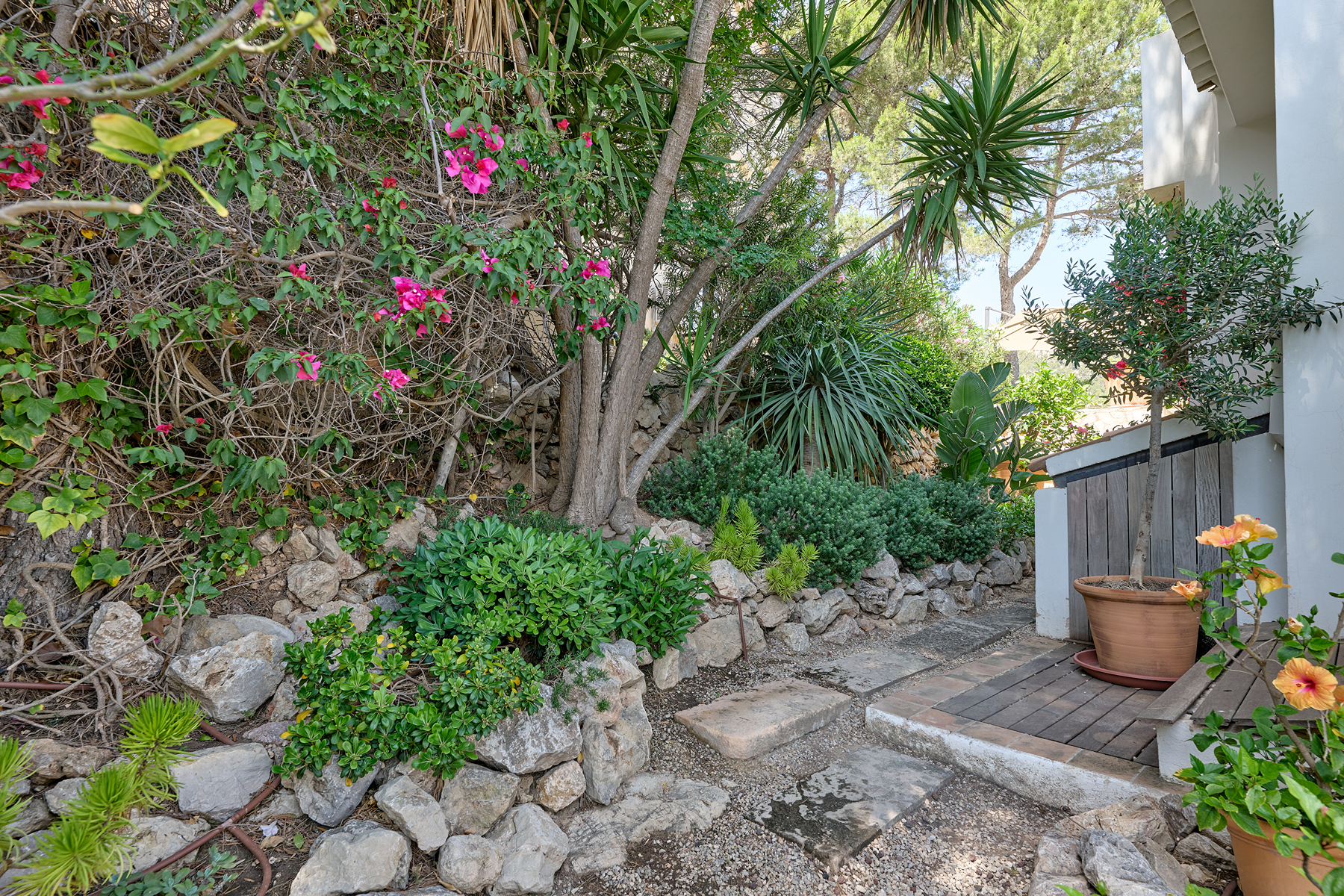  Terraced house with sea views and Puerto de Andratx - 物件實景