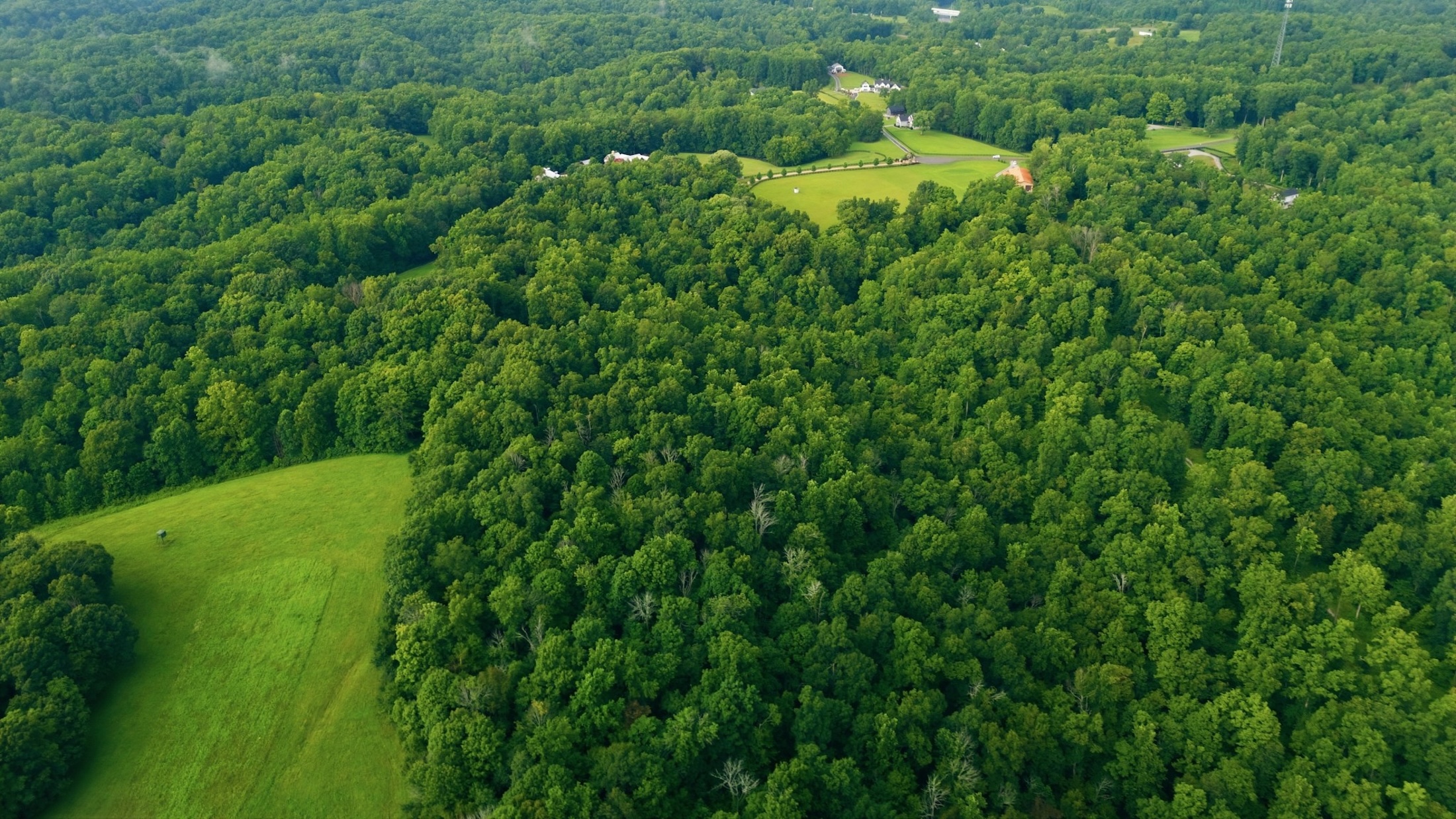  1 Casparis Rd, Franklin, TN, 37064 - 物件實景