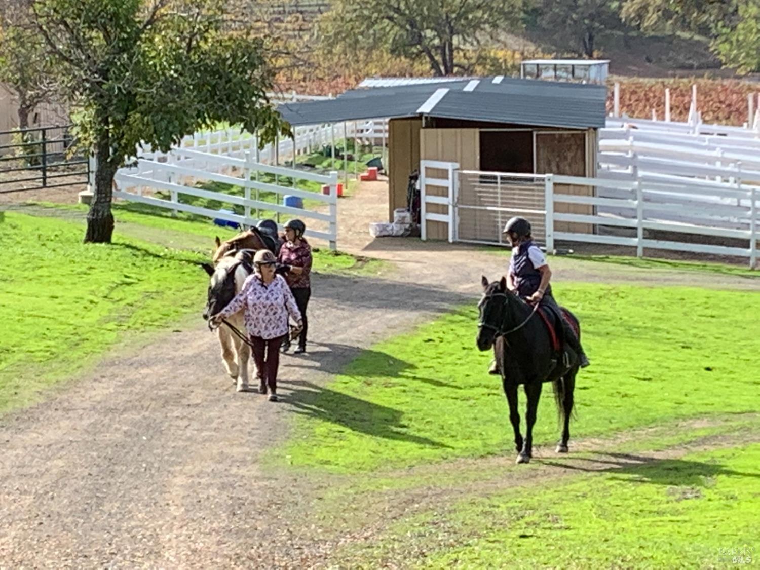 Kelseyville, California, 95451, United States, 3 Bedrooms Bedrooms, ,2 BathroomsBathrooms,Residential,For Sale,1974568