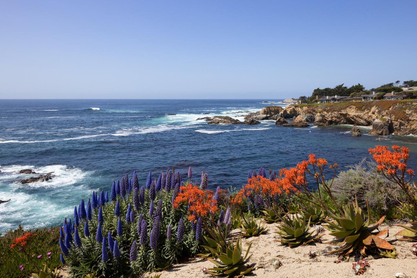 Carmel, California, 93923, United States, 3 Bedrooms Bedrooms, ,3 BathroomsBathrooms,Residential,For Sale,1807403