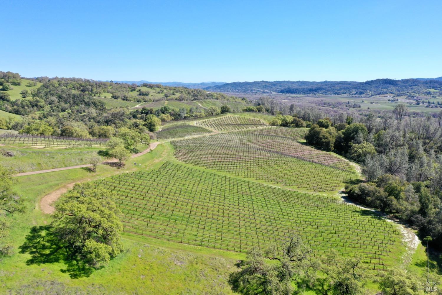 Cloverdale, California, 95425, United States, 5 Bedrooms Bedrooms, ,5 BathroomsBathrooms,Residential,For Sale,1759747