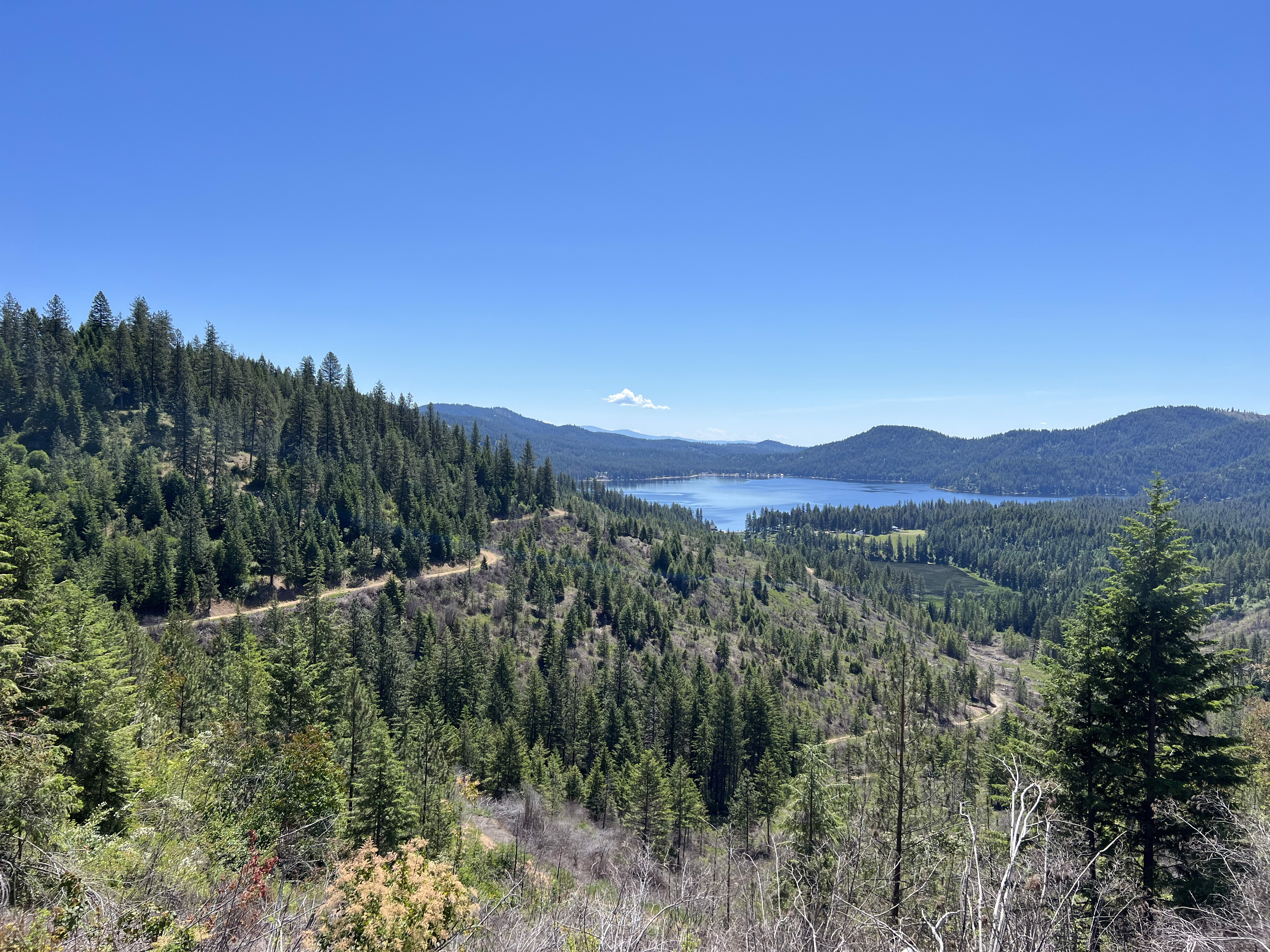 Loon Lake, Washington, 99148, United States, ,Residential,For Sale,1922836