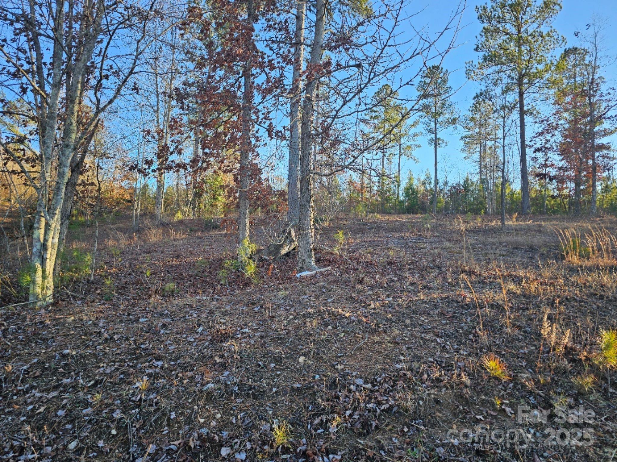 Connelly Springs, North Carolina, 28612, United States, 3 Bedrooms Bedrooms, ,3 BathroomsBathrooms,Residential,For Sale,1982824