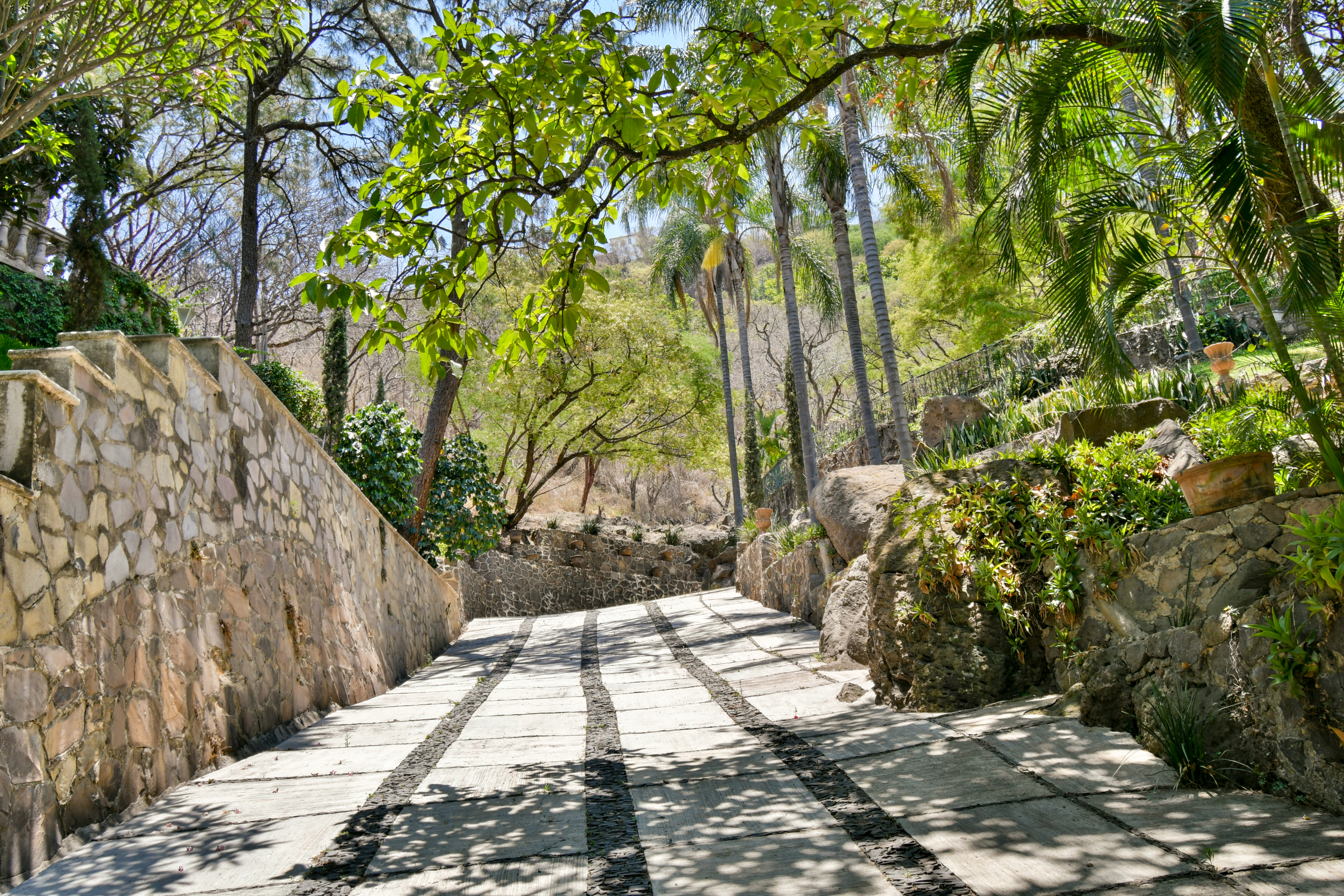  Price Improvement, Residencia Bosque Mediterráneo en Cañadas - 物件實景