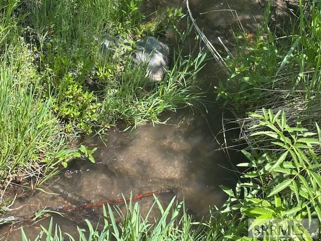 RIRIE, Idaho, 83443, United States, ,Residential,For Sale,1974893