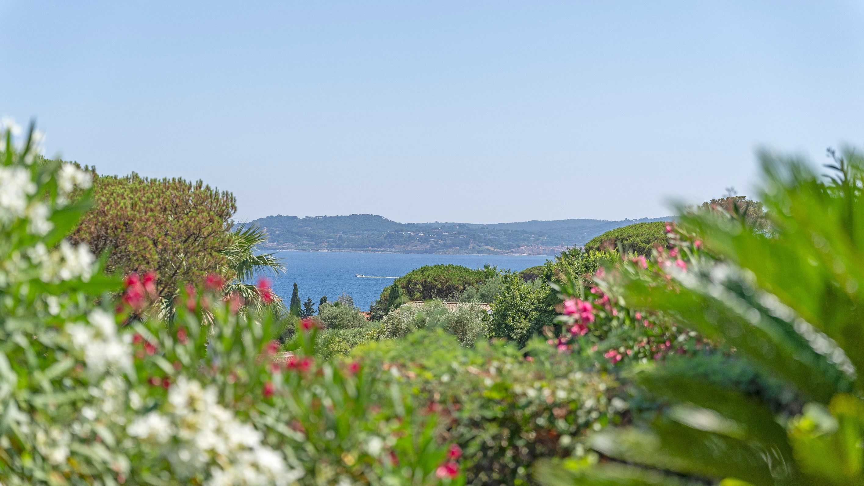 Beautiful Villa with Sea and Saint-Tropez view- Walking distance to the beach a… - 物件實景