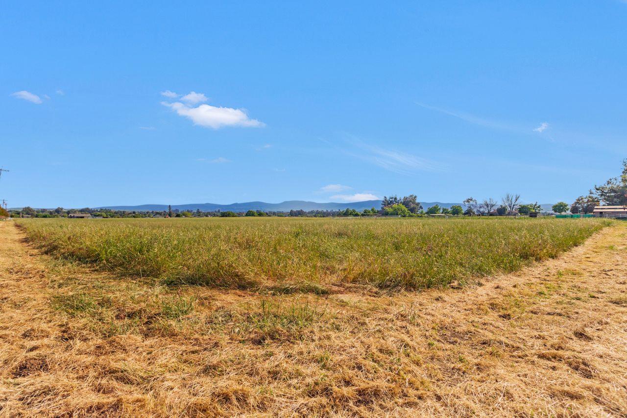 Hollister, California, 95023, United States, ,Land,For Sale,1819705