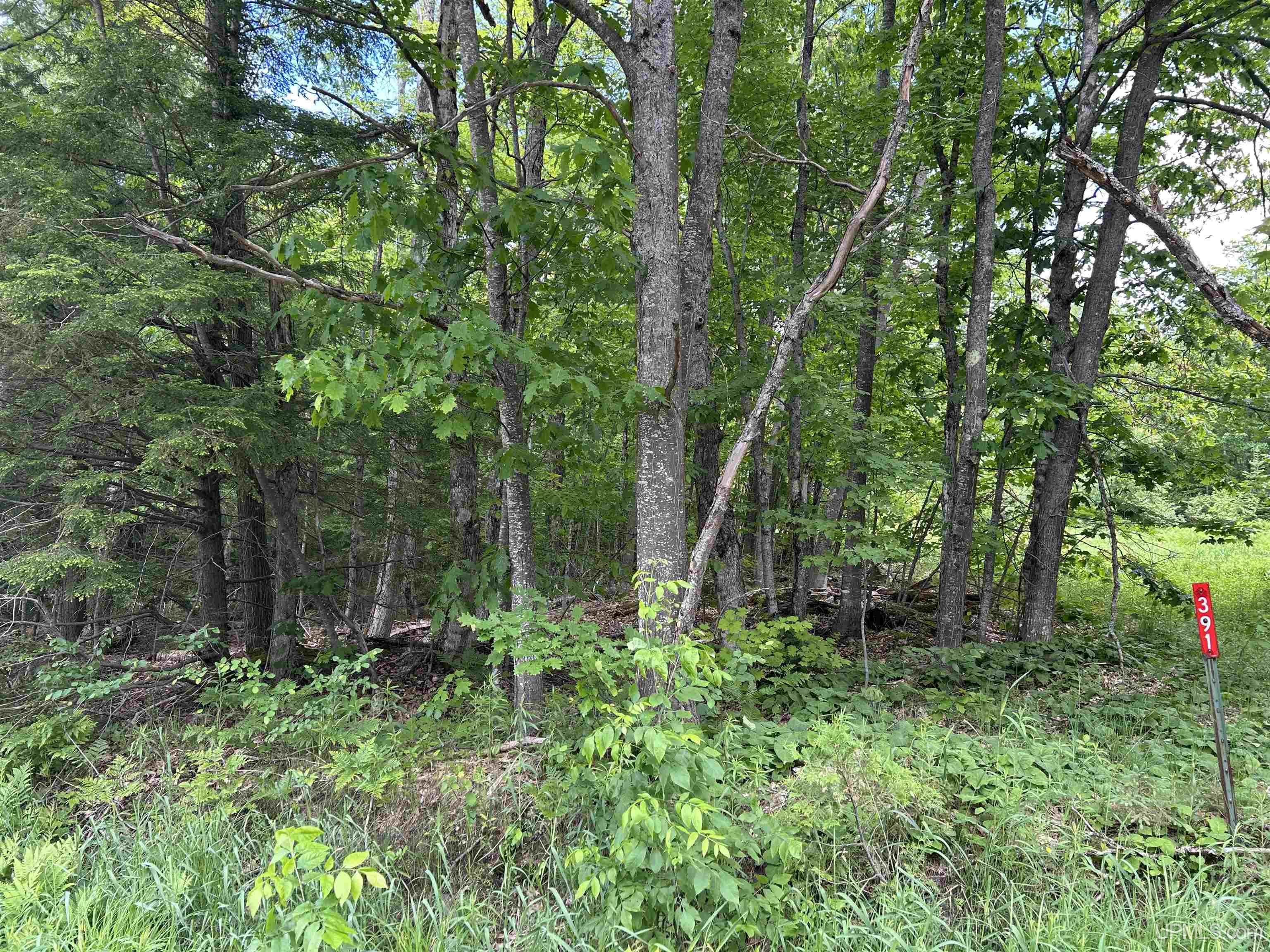 Carlshend Rd, Skandia, MI 49885 #1
