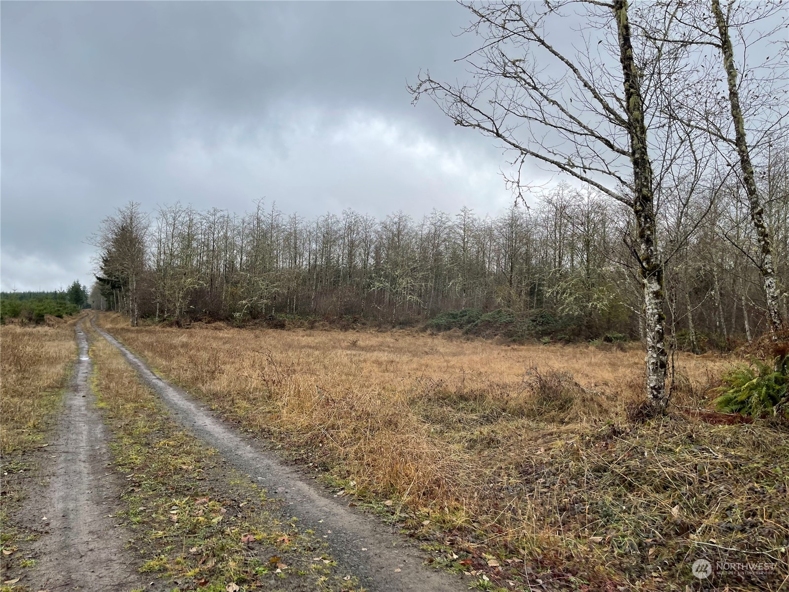 1 Xx Oppelt Road, Onalaska, Washington, 98570, United States, ,Land,For Sale,1 Xx Oppelt Road,1446946