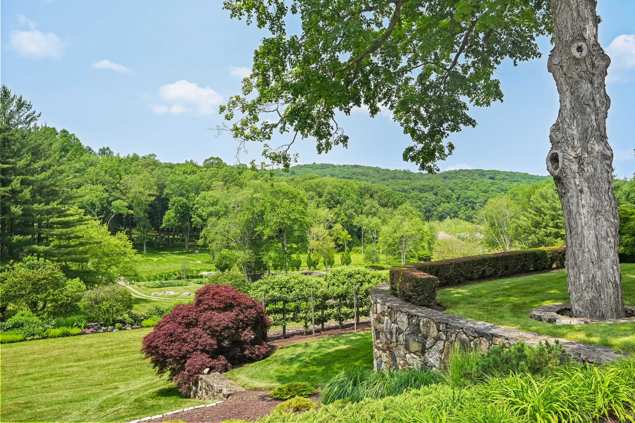  Gated Acres in Northern Fairfield County - 物件實景