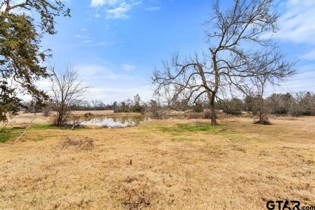 Van, Texas, 75790, United States, ,Land,For Sale,1981017