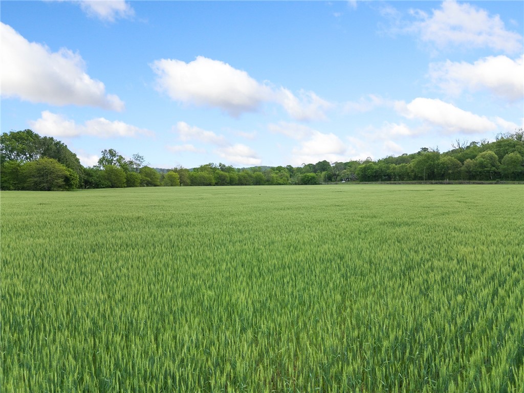 Alpena, Arkansas, 72611, United States, ,Land,For Sale,1903921