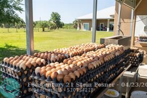 Okeechobee, Florida, 34972, United States, ,Residential,For Sale,1780804