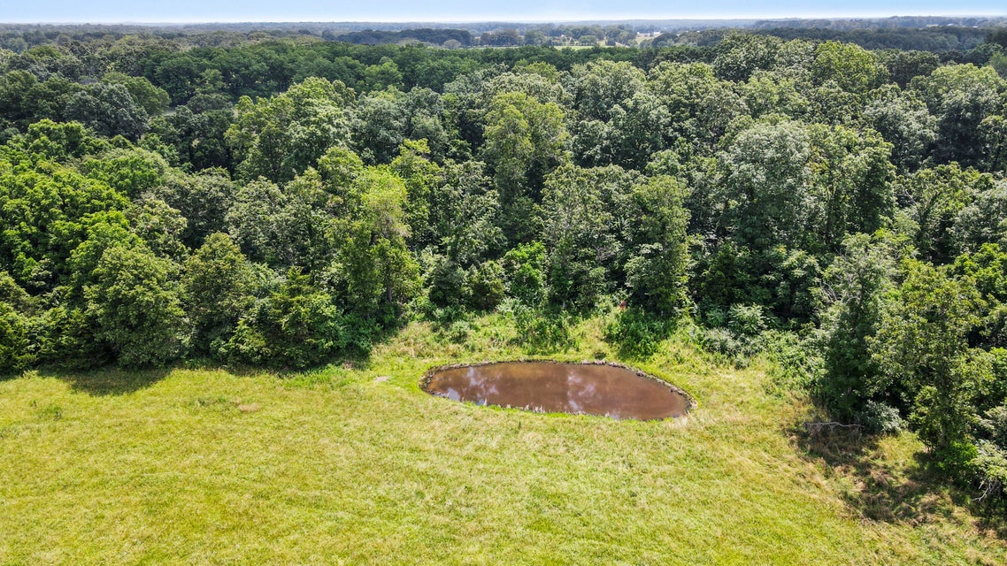 Peace Valley, Missouri, 65788, United States, 5 Bedrooms Bedrooms, ,1 BathroomBathrooms,Residential,For Sale,1980940