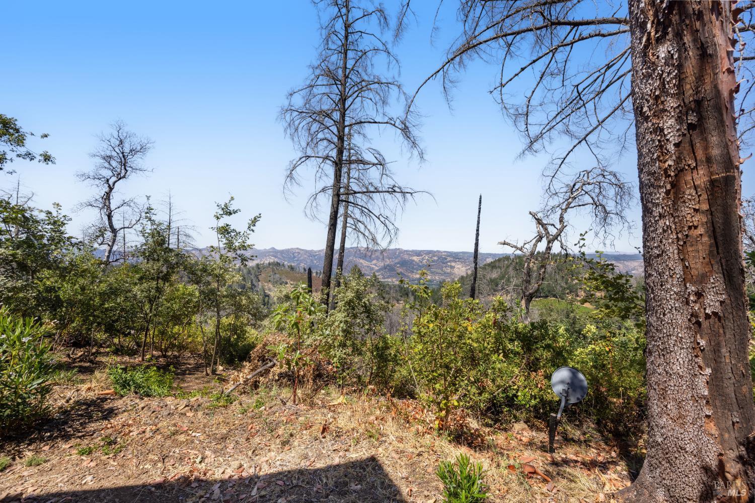 St. Helena, California, 94574, United States, 2 Bedrooms Bedrooms, ,2 BathroomsBathrooms,Residential,For Sale,1975213