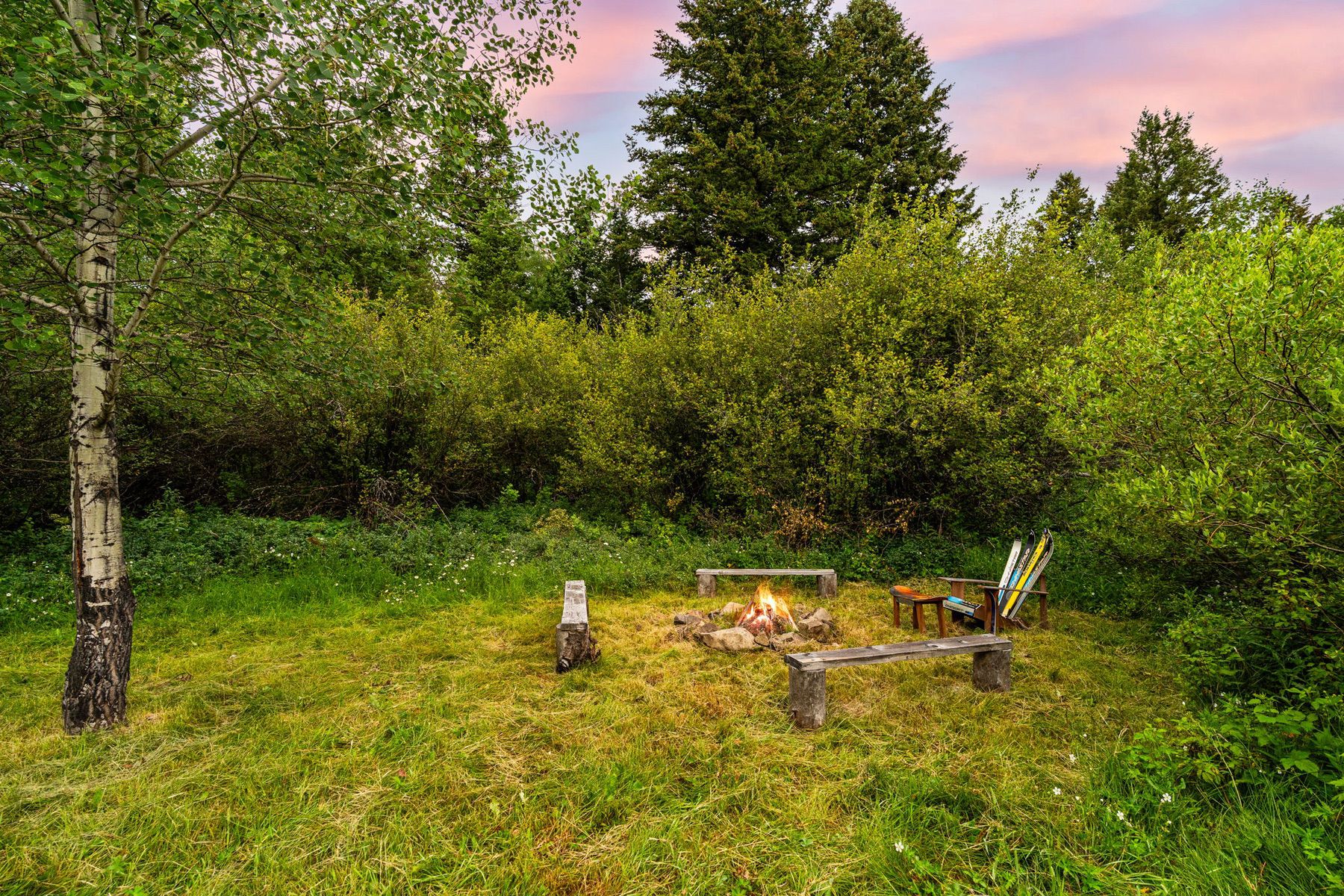  215 Timberline Creek Dr - 物件實景