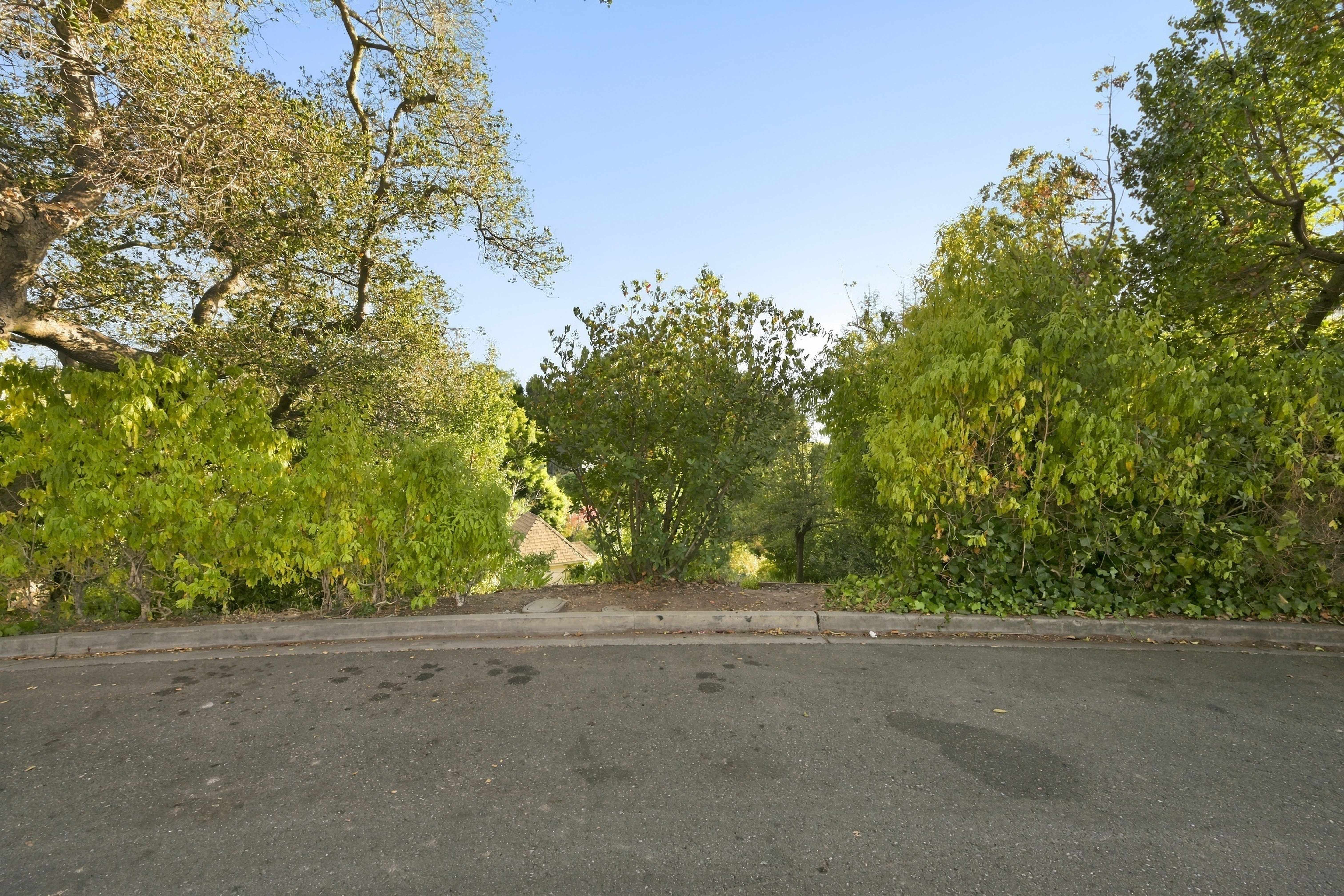  Rare Piedmont Build Opportunity with Scenic Views and Plans in Place - 物件實景