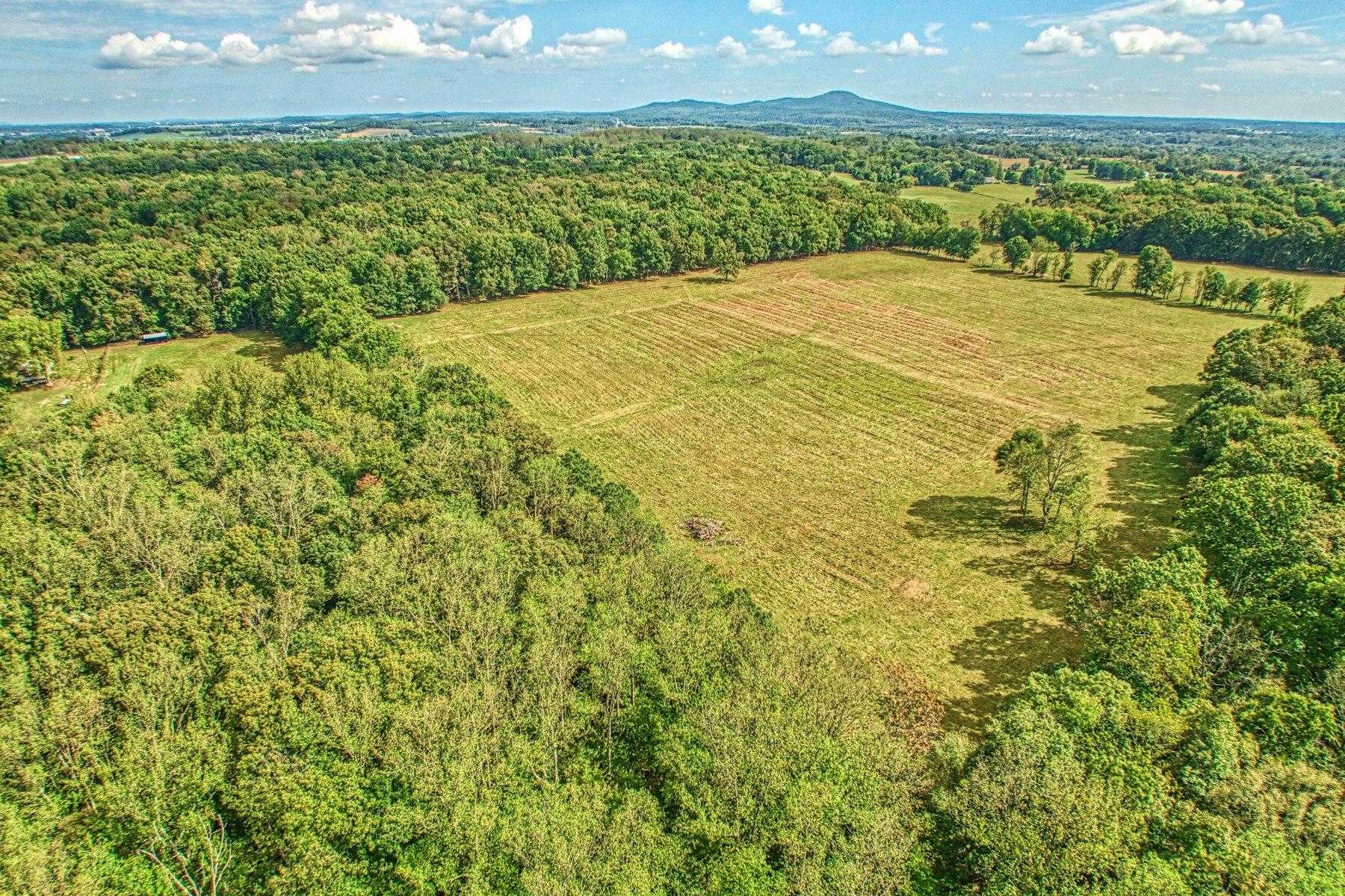  43470 Evans Pond Road, Leesburg, VA, 20176 - 物件實景
