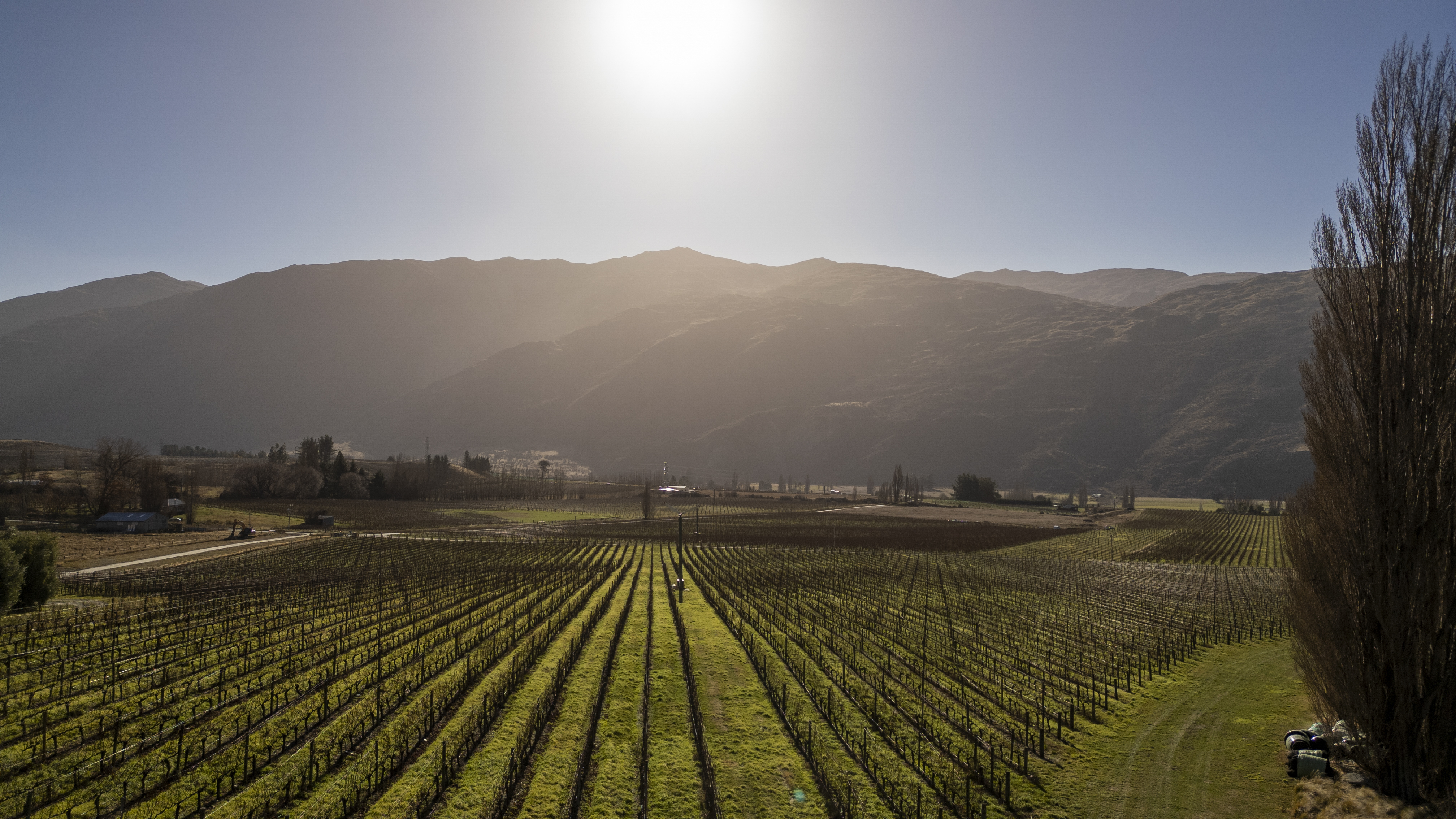  Award Winning Vineyard - 物件實景