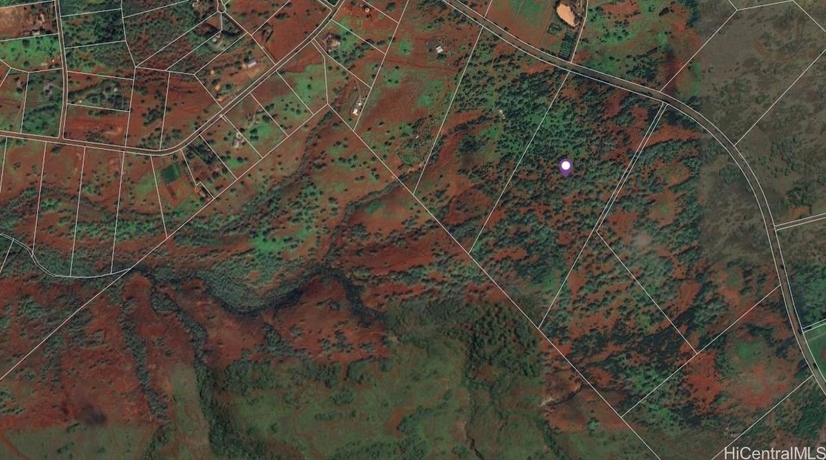 Maunaloa, Hawaii, 96770, United States, ,Land,For Sale,1977716