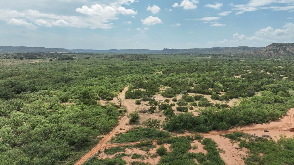 Tennyson, Texas, 76953, United States, ,Land,For Sale,1982007