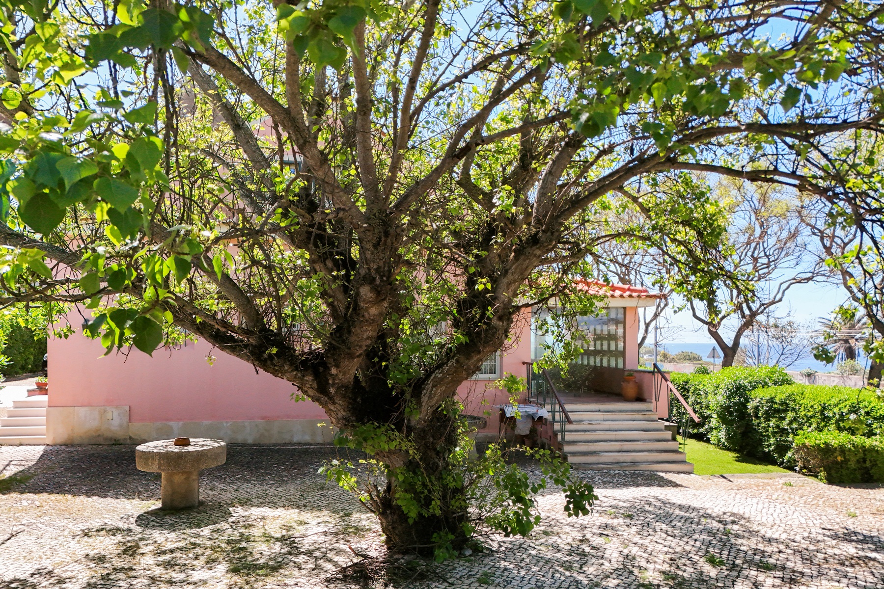  Detached house for Sale - 物件實景