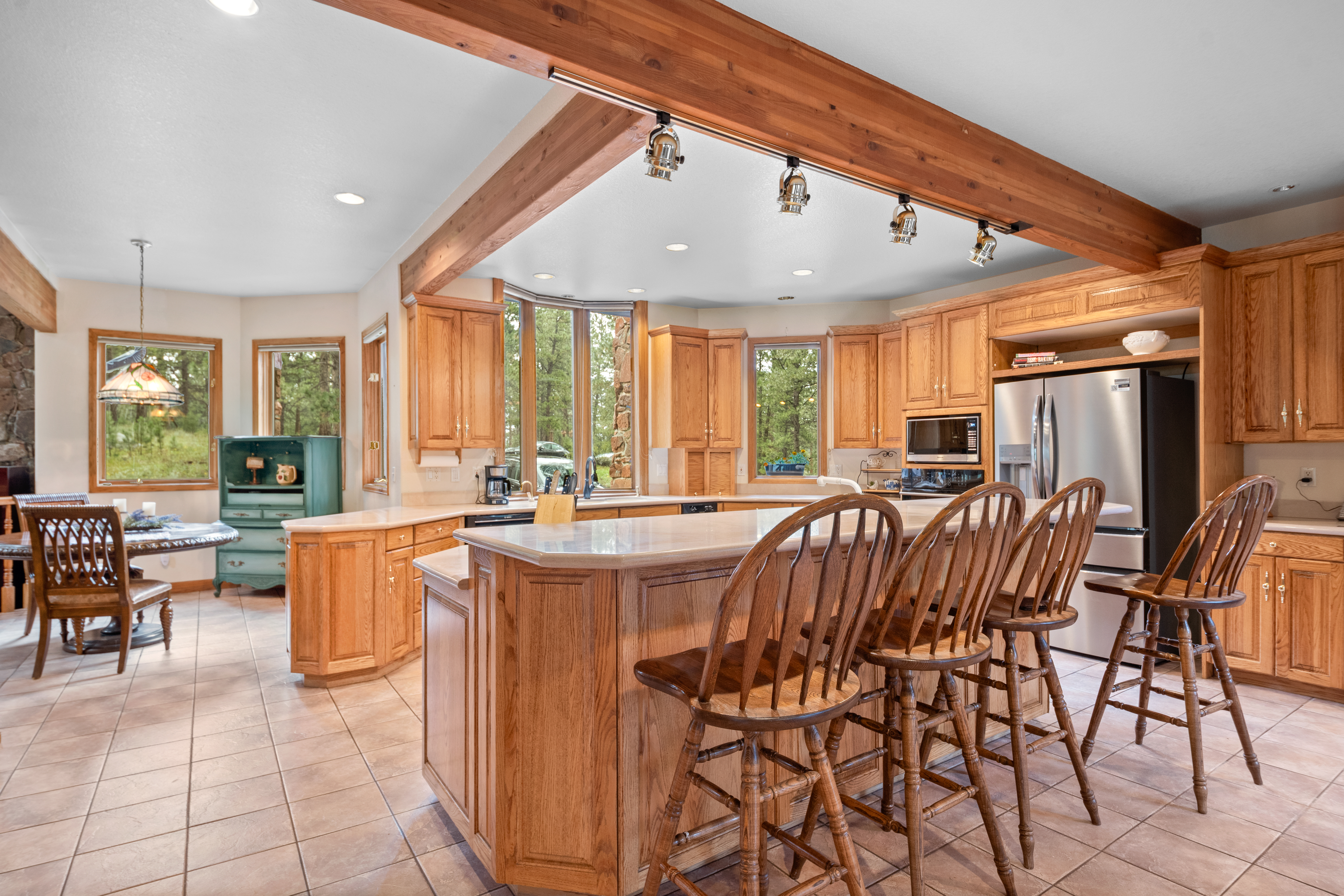  Perfect Blend of Space and Colorado Living That Backs to Pike National Forest - 物件實景