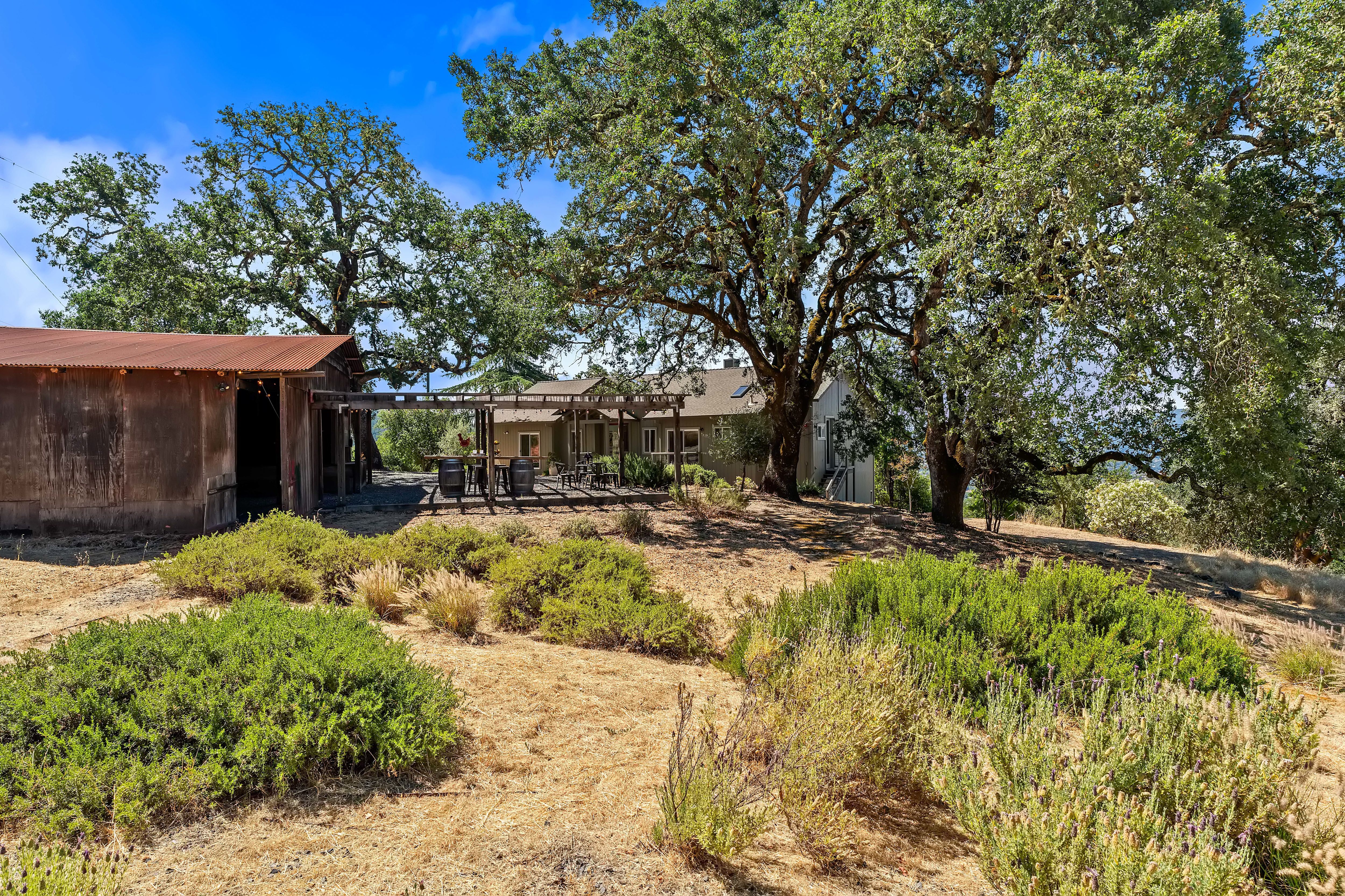  Exceptional Estate Perched On Over 11± Private Acres - 物件實景