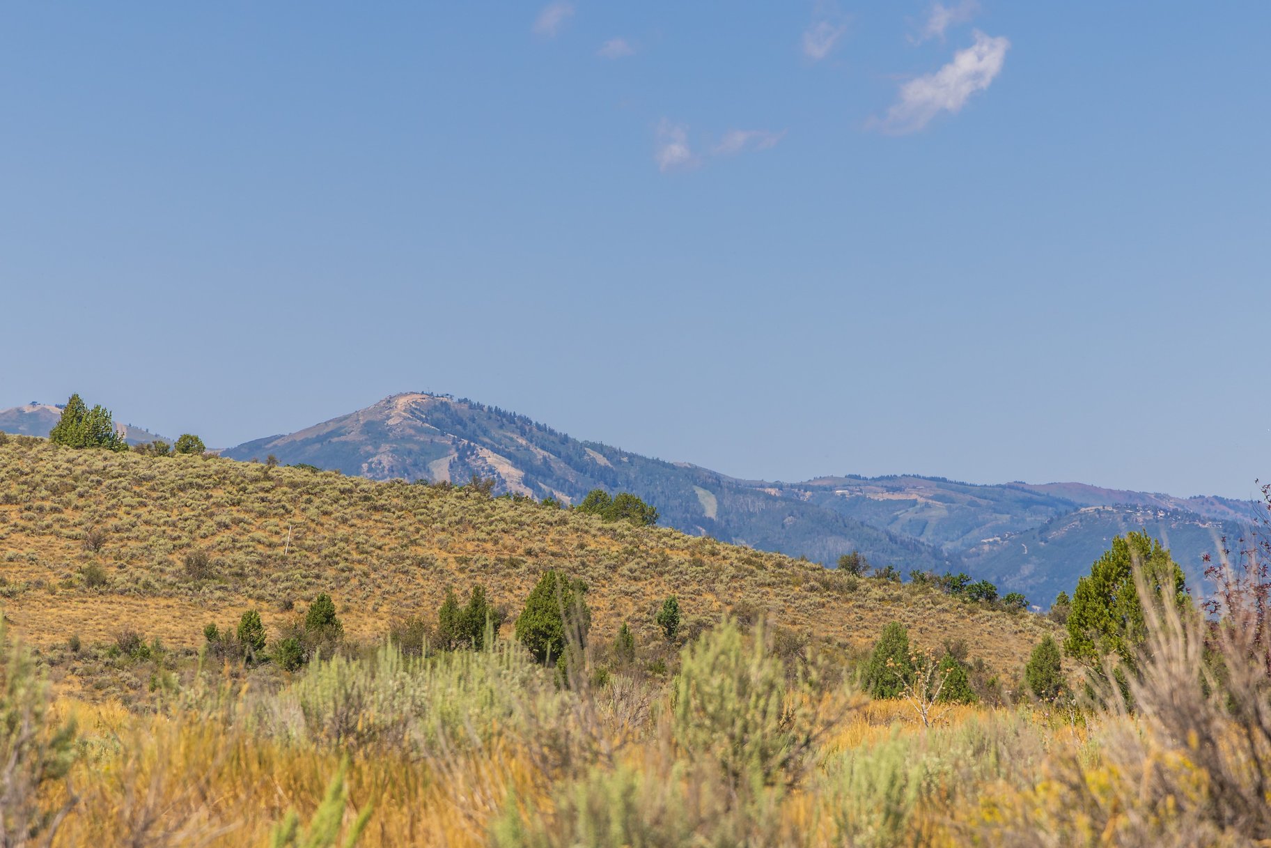  Sweeping Views on Almost 2 Acres at Victory Ranch - 物件實景