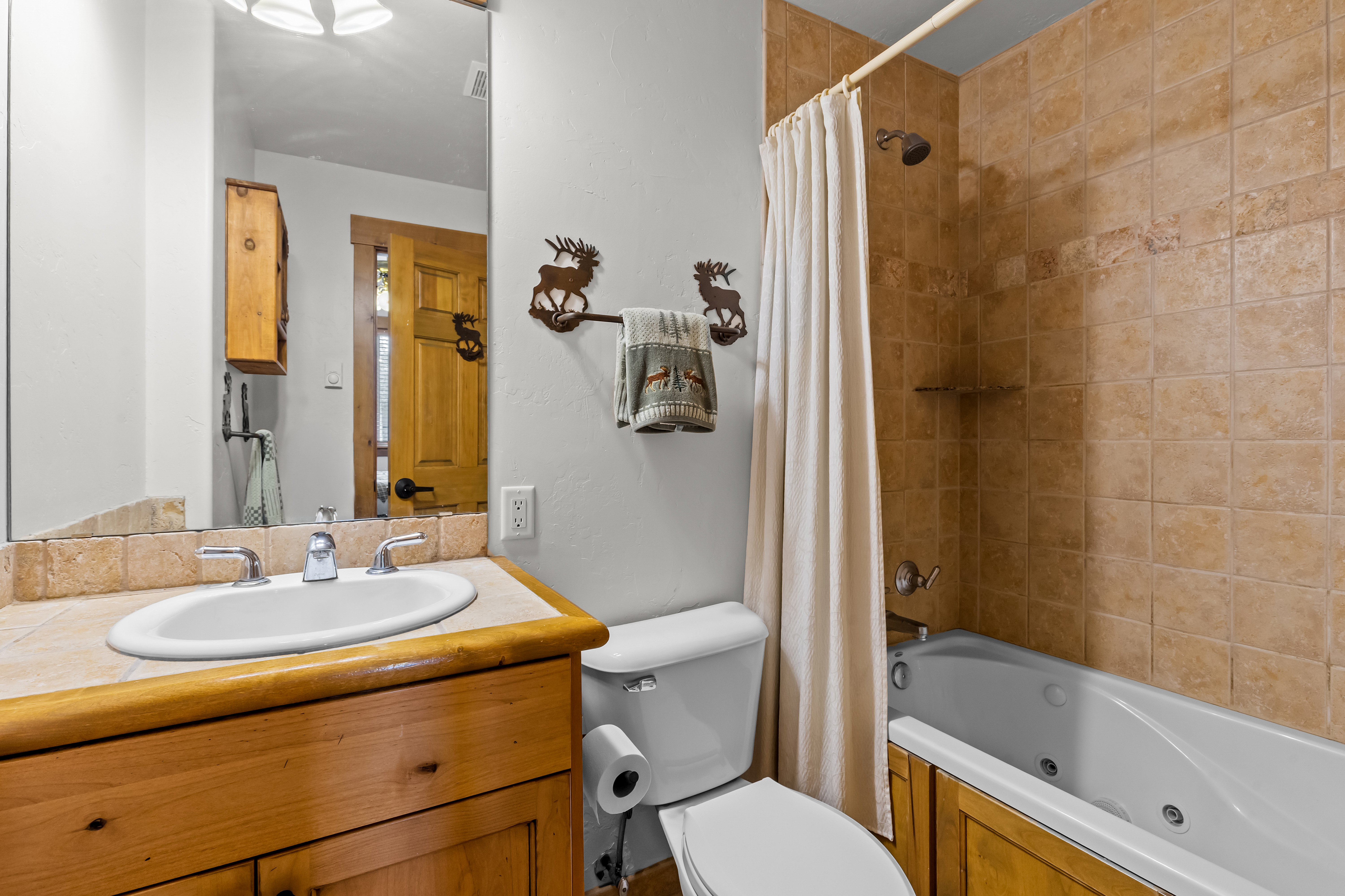  1915 Alpine Plaza, Steamboat Springs, CO, 80487 - 物件實景