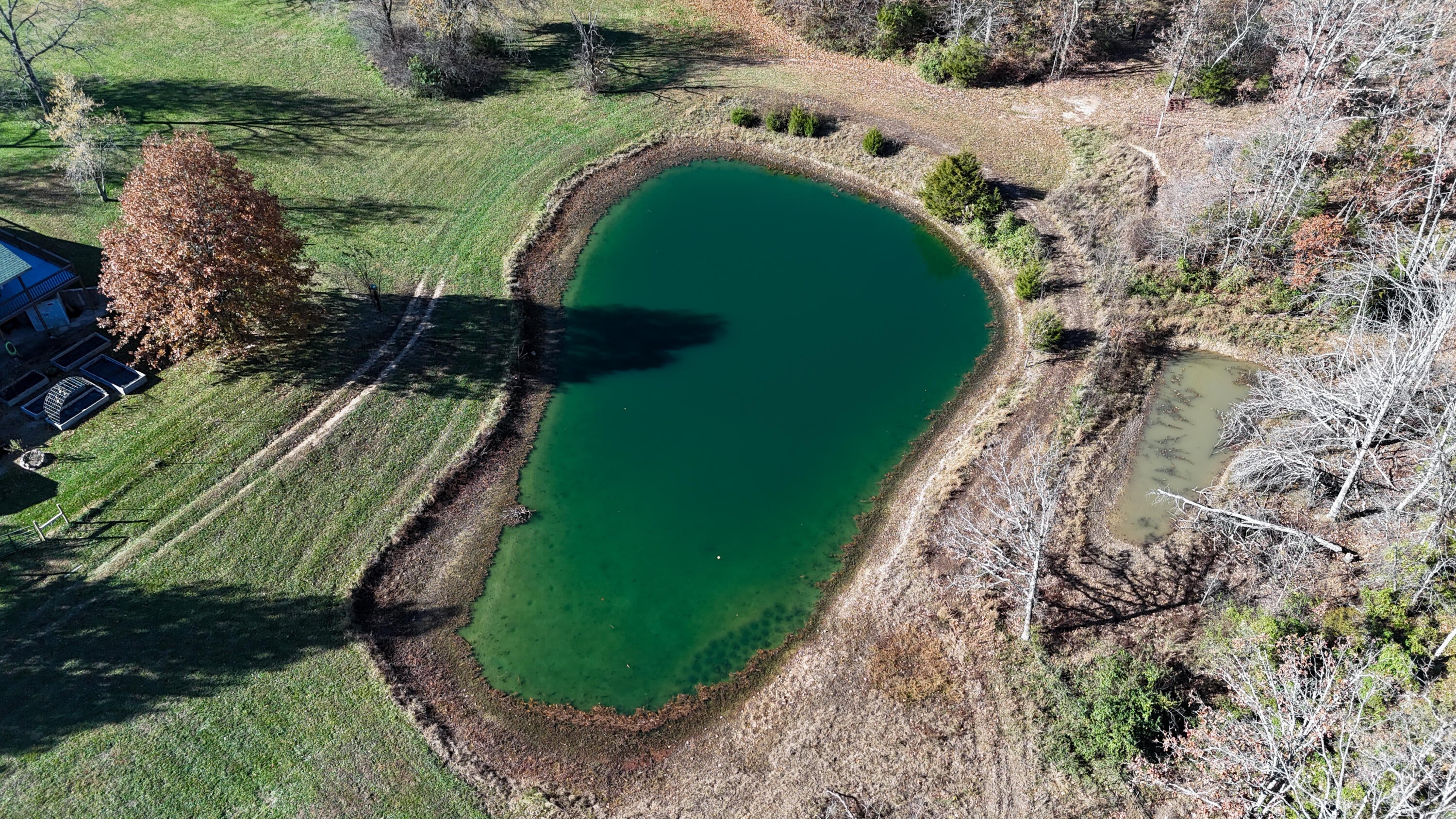 Norwood, Missouri, 65717, United States, 3 Bedrooms Bedrooms, ,3 BathroomsBathrooms,Residential,For Sale,2006315