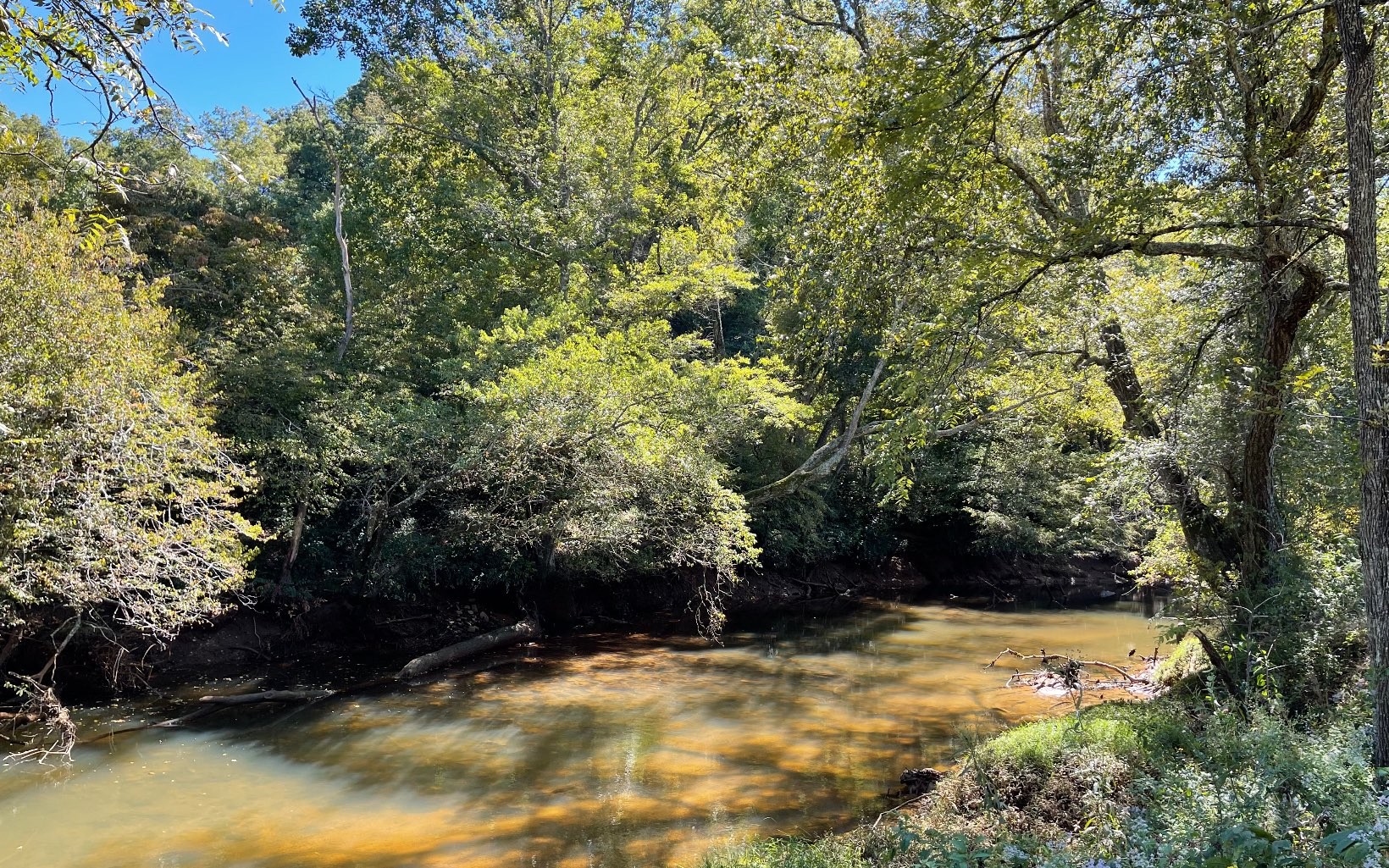 Hayesville, North Carolina, 28904, United States, ,Residential,For Sale,1943293