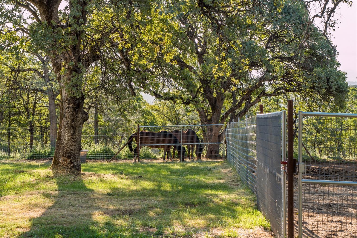 Oregon House, California, 95962, United States, 4 Bedrooms Bedrooms, ,3 BathroomsBathrooms,Residential,For Sale,1976473