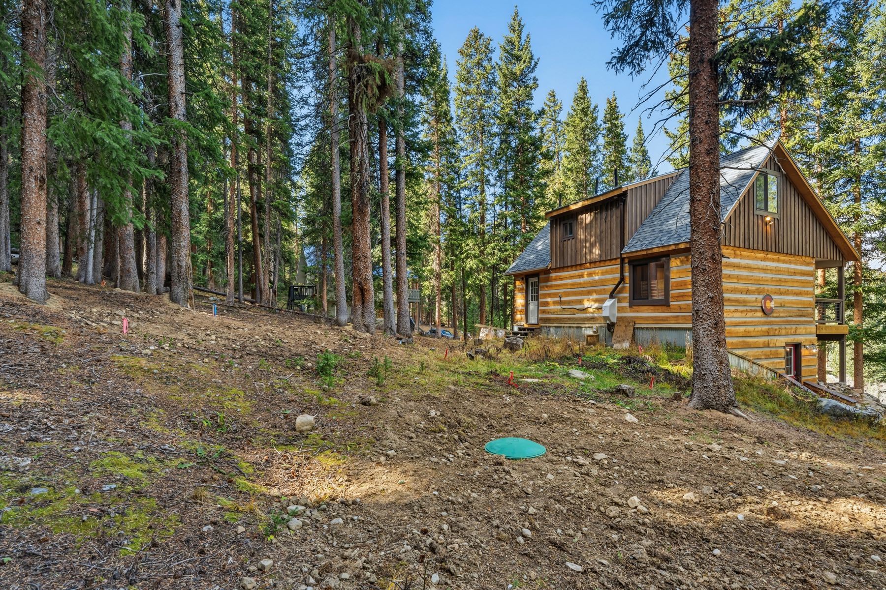  Cozy Cabin 1/2 Acre Backing to National Forest and Minutes from Main Street - 物件實景