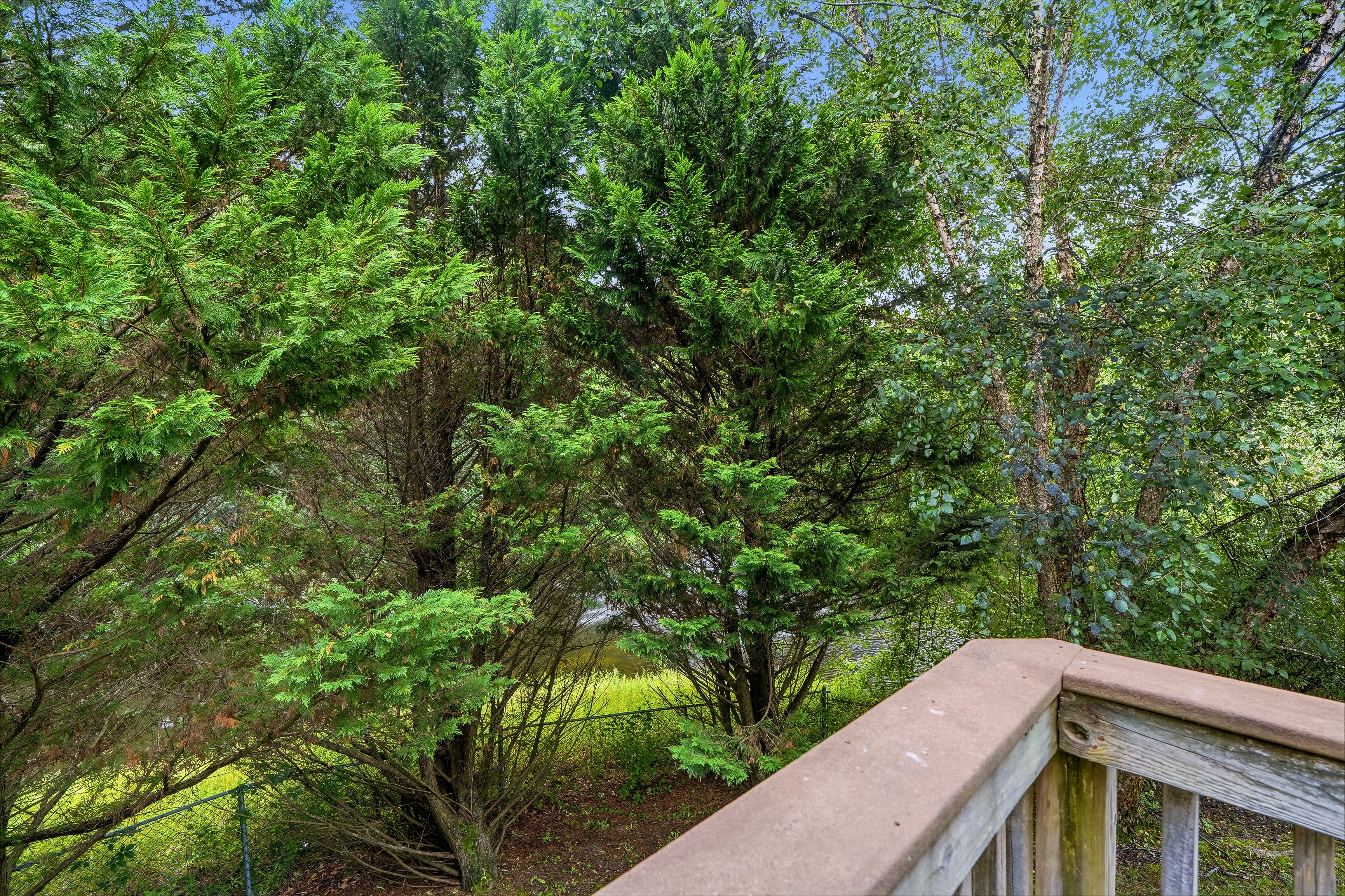  Immaculate & Beautifully Maintained Townhouse in Cedar Glen - 物件實景