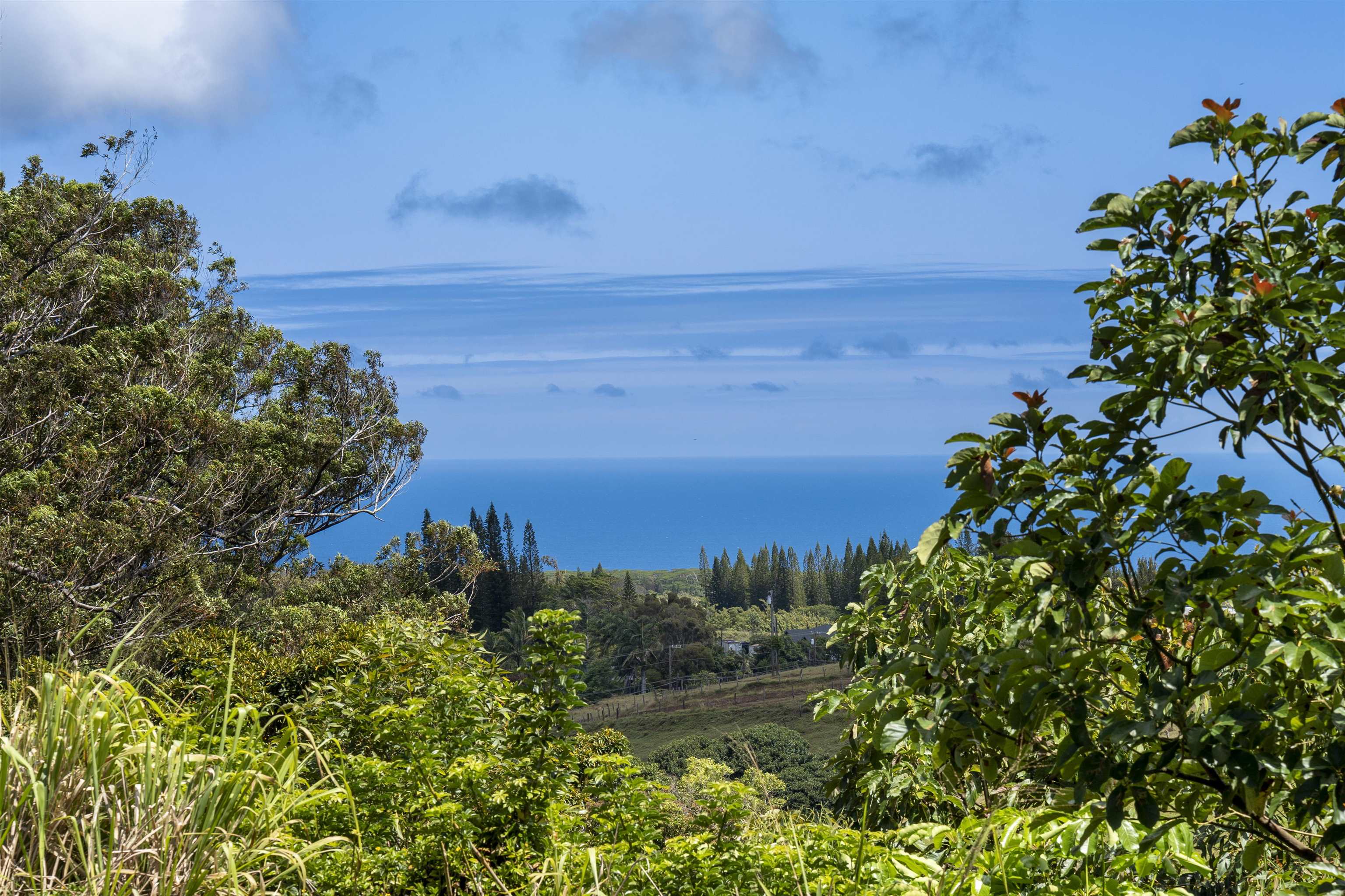 Haiku, Hawaii, 96708, United States, ,Land,For Sale,1918807