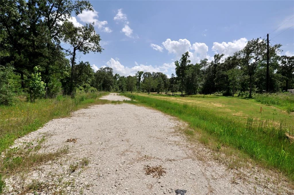 26150 Grand Pines Road, Magnolia, Texas, 77355, United States, ,Land,For Sale,26150 Grand Pines Road,1609479