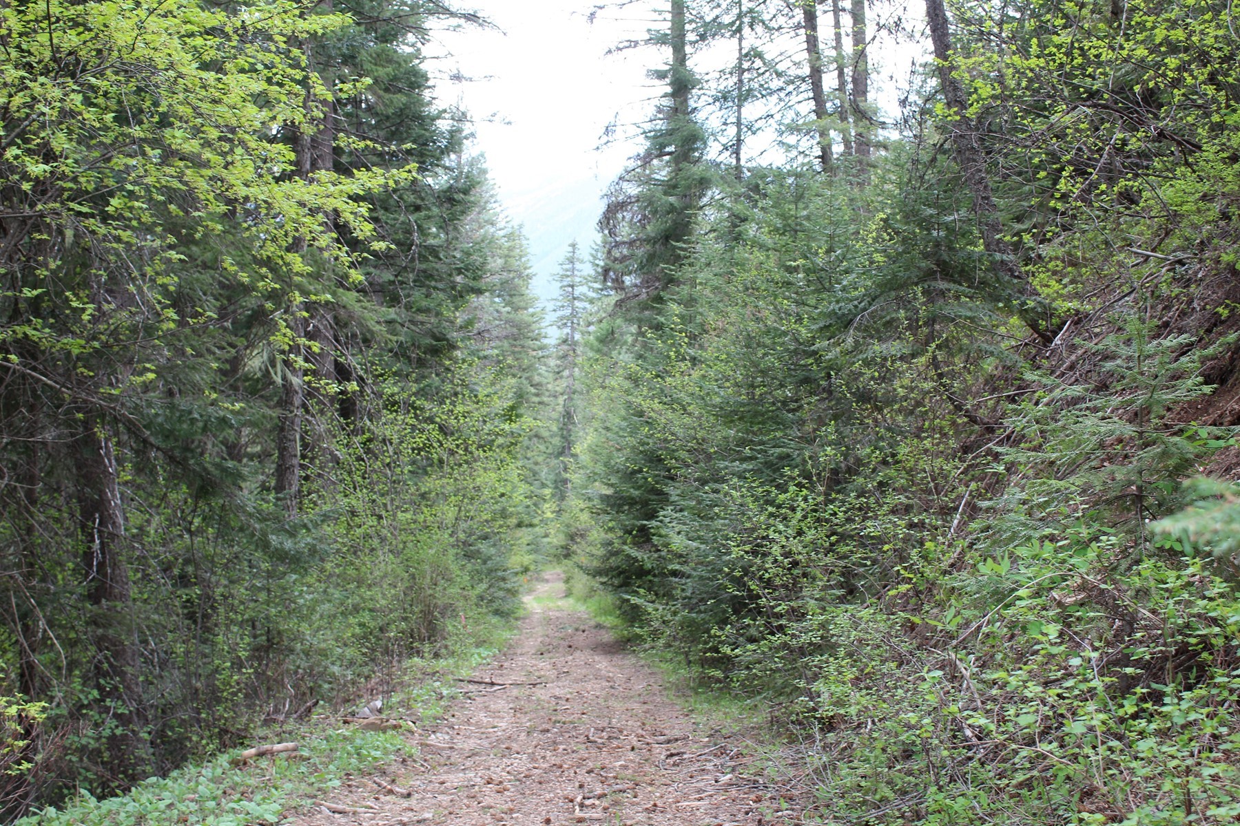  19a Daisy Gulch Road - 物件實景